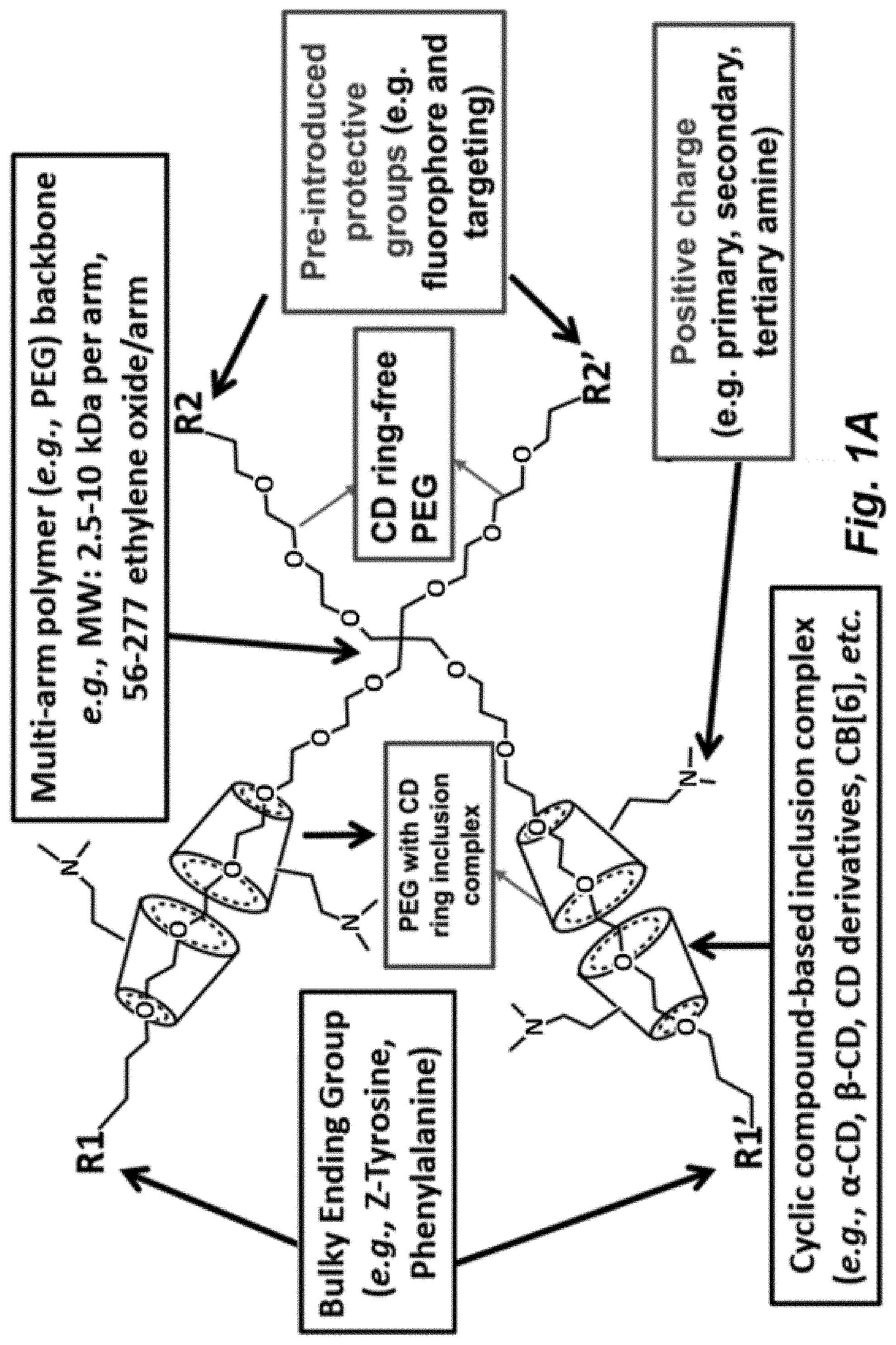 Patent US11779653 Figure 1 – Multi-armed polyrotaxane platform for protected nucleic acid delivery