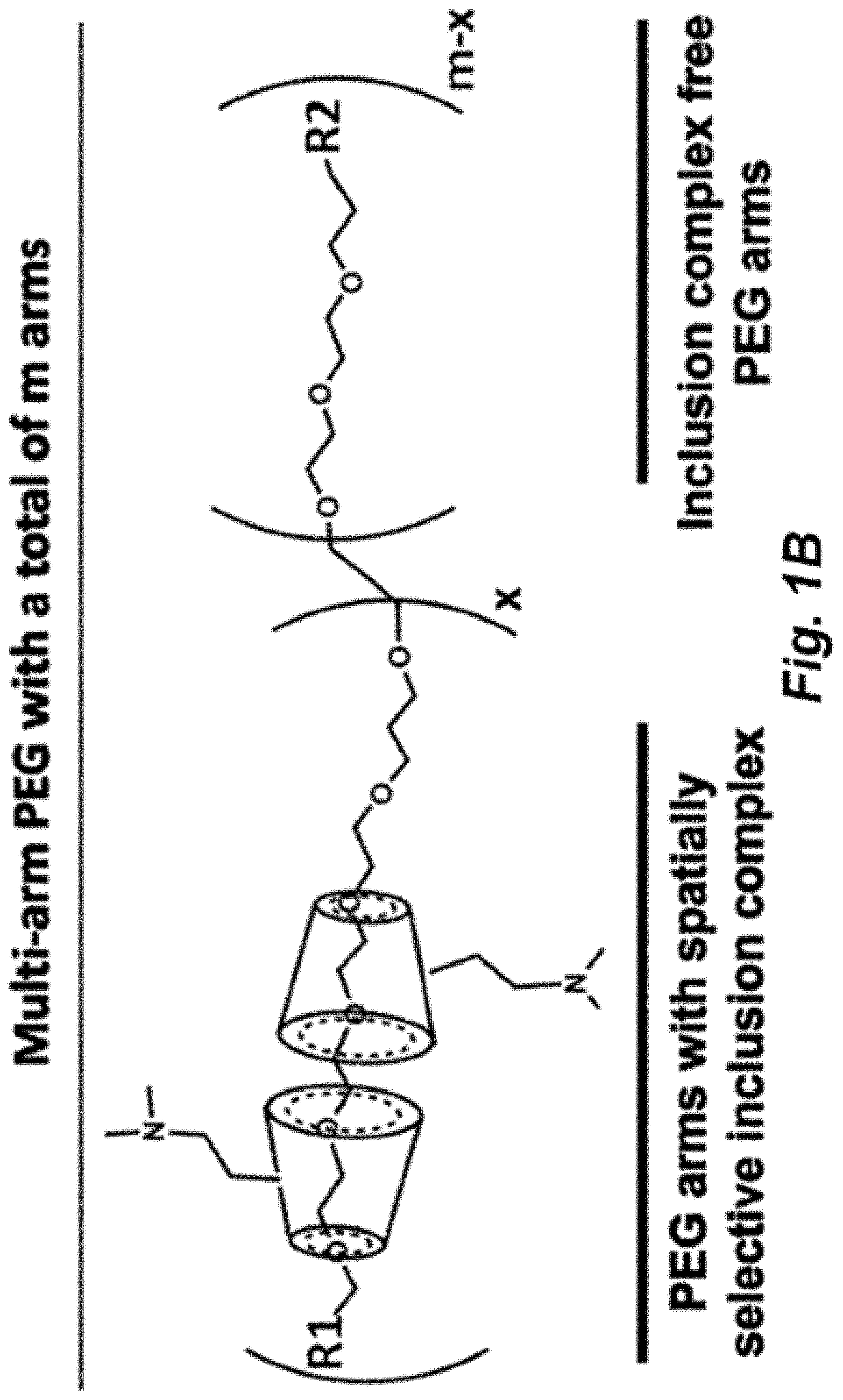 Patent US11779653 Figure 2 – Multi-armed polyrotaxane platform for protected nucleic acid delivery