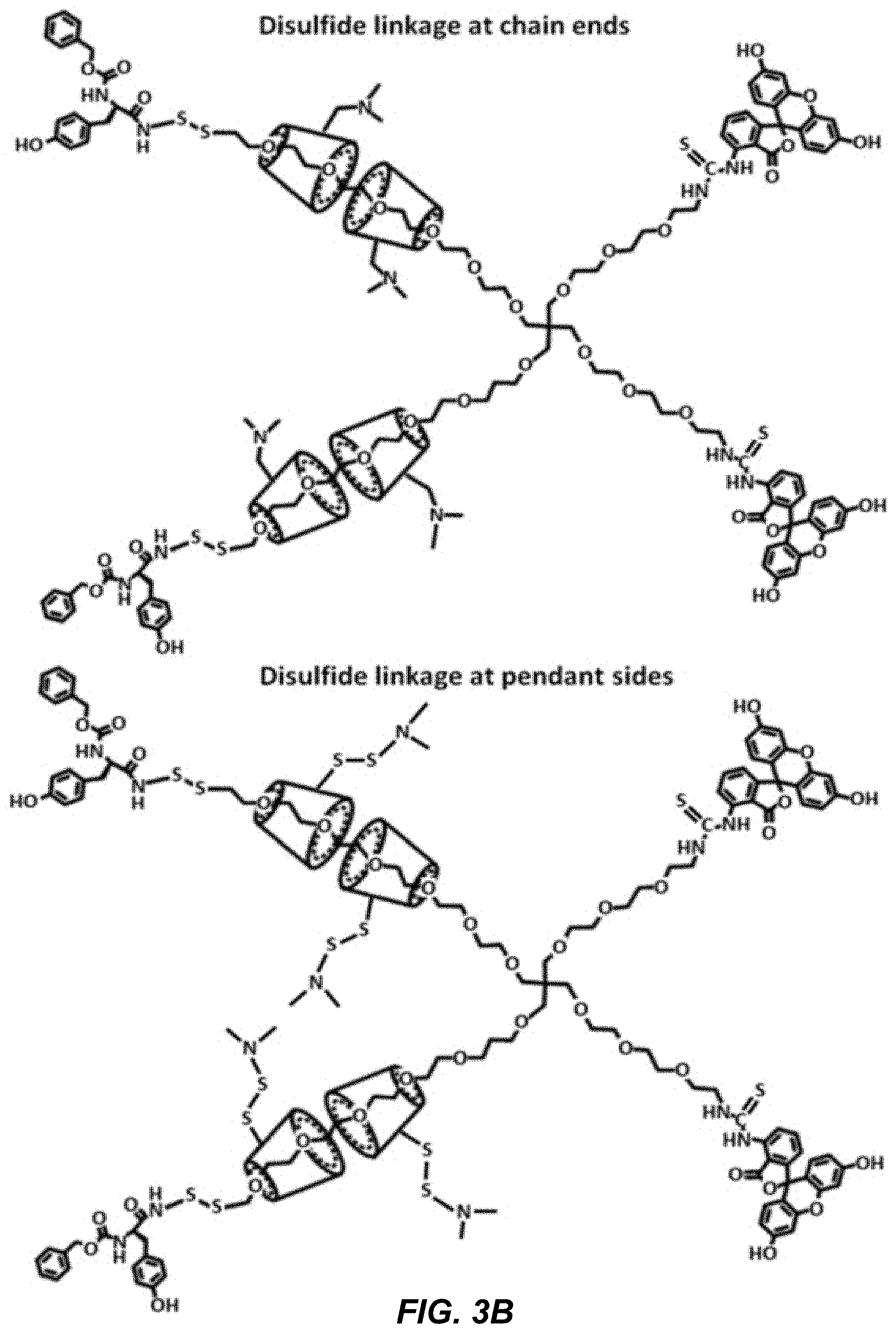 Patent US11779653 Figure 5 – Multi-armed polyrotaxane platform for protected nucleic acid delivery