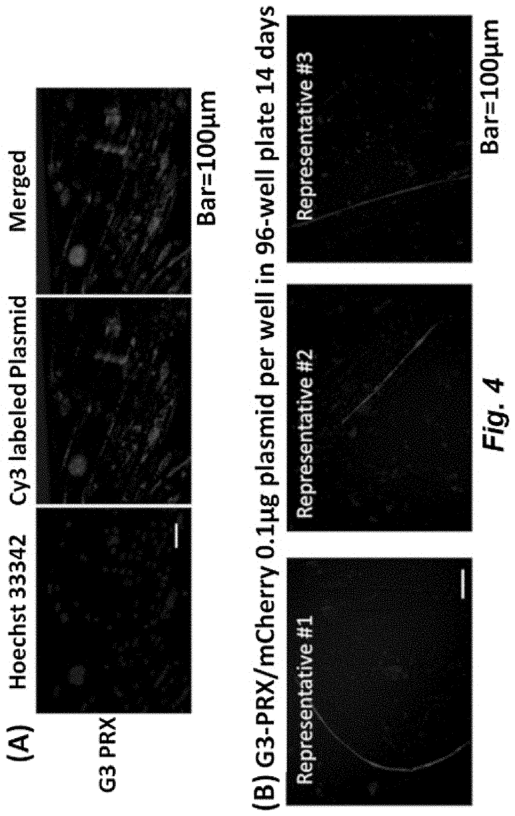 Patent US11779653 Figure 6 – Multi-armed polyrotaxane platform for protected nucleic acid delivery