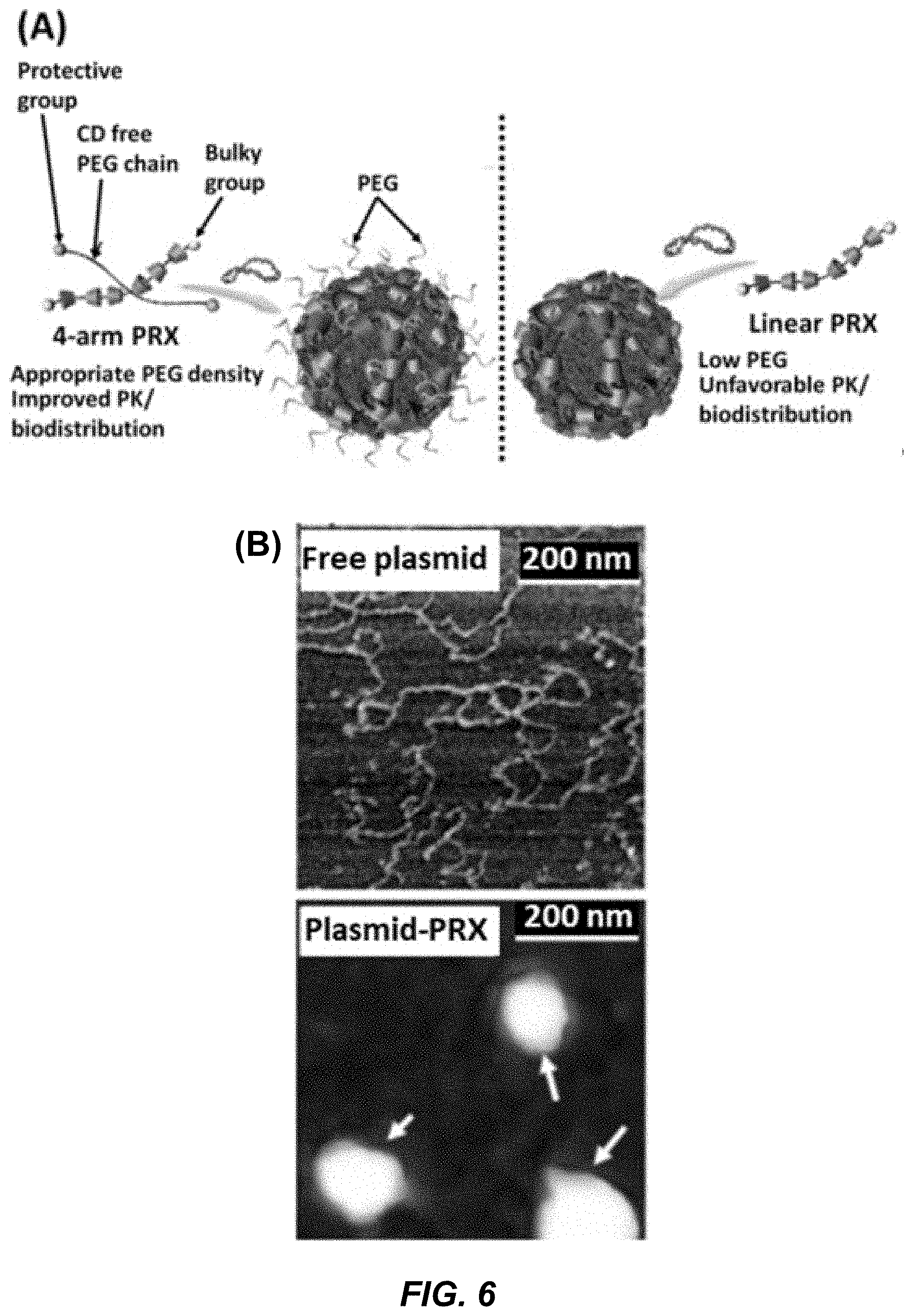 Patent US11779653 Figure 8 – Multi-armed polyrotaxane platform for protected nucleic acid delivery