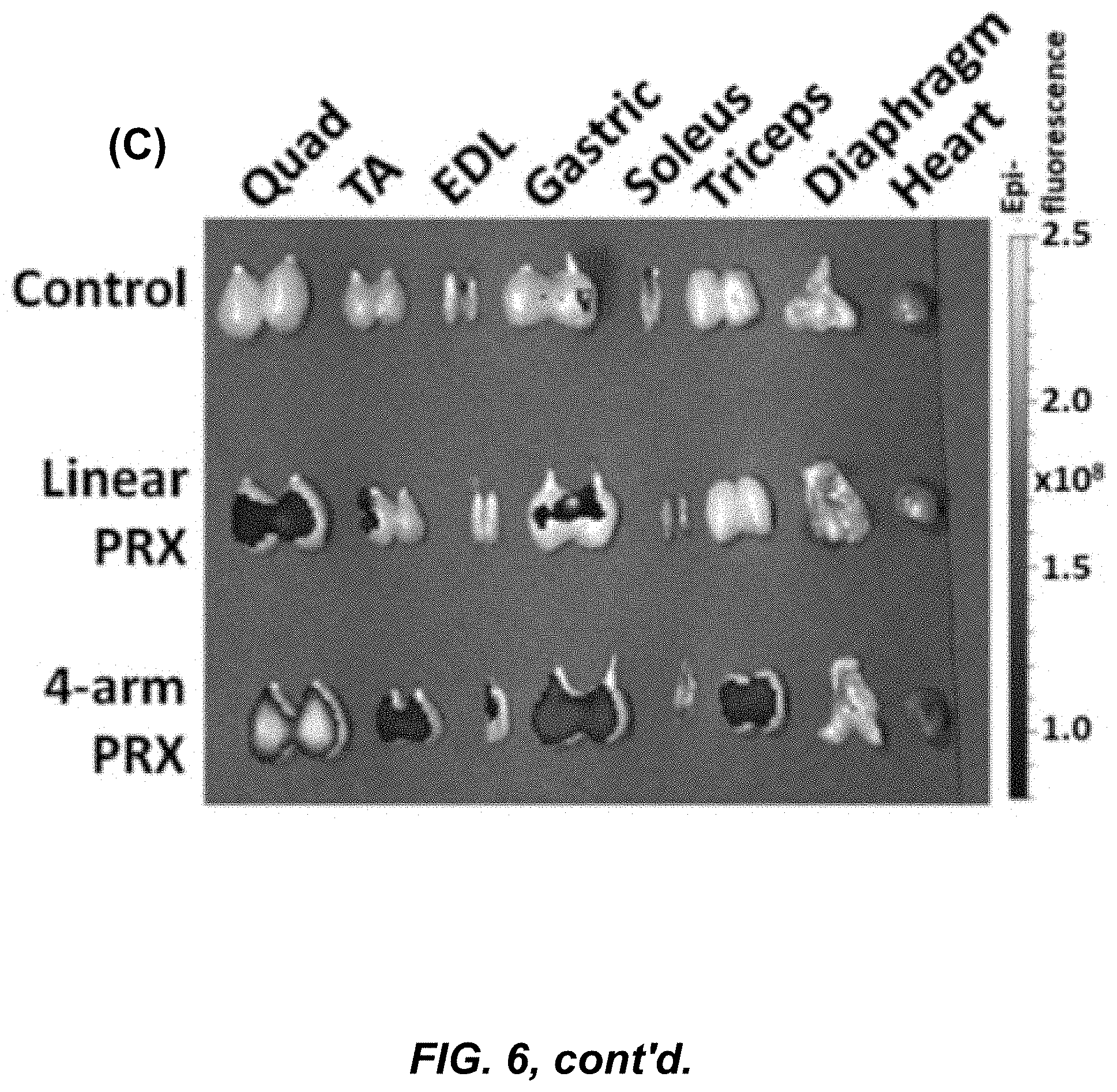 Patent US11779653 Figure 9 – Multi-armed polyrotaxane platform for protected nucleic acid delivery