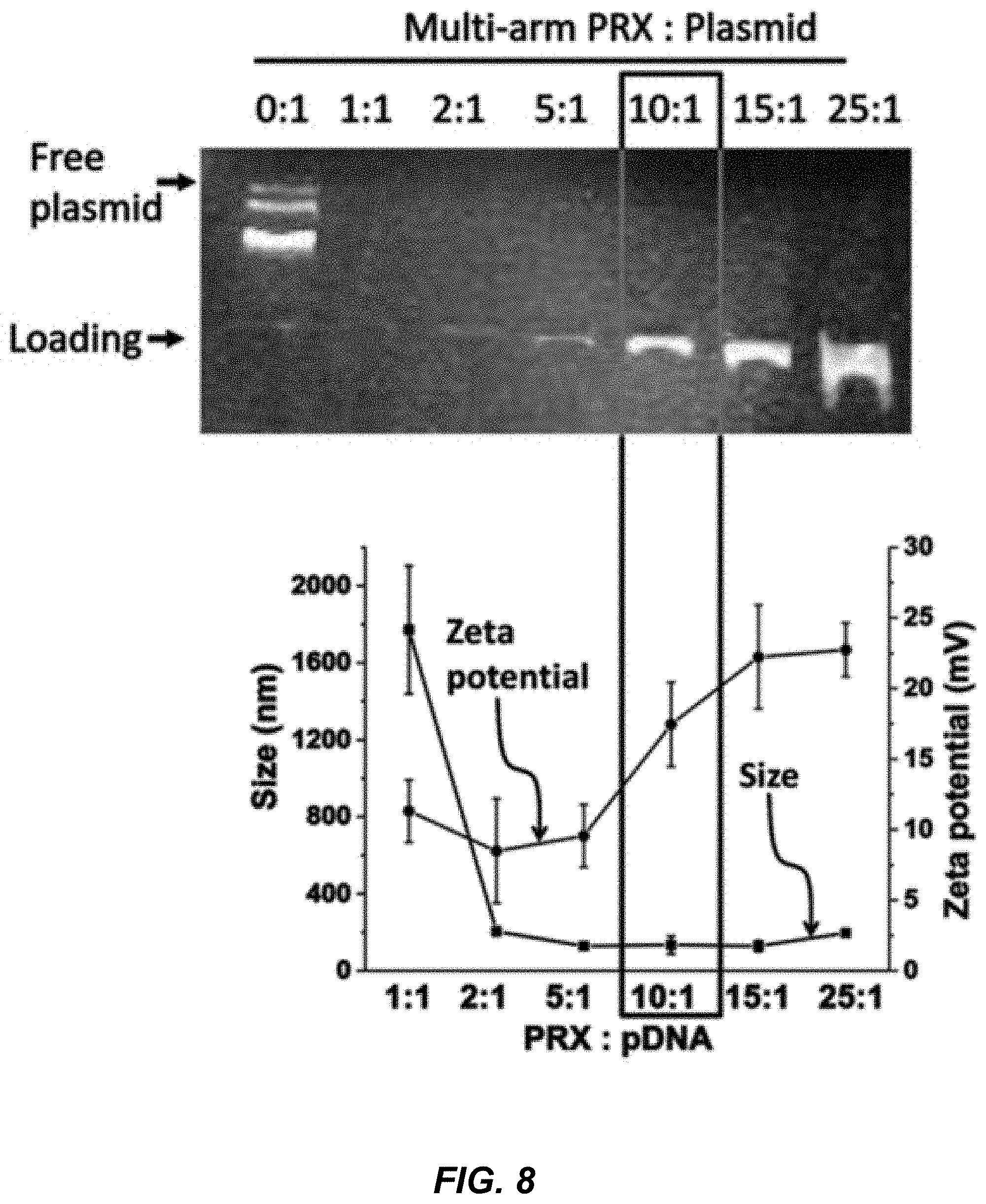Patent US11779653 Figure 11 – Multi-armed polyrotaxane platform for protected nucleic acid delivery