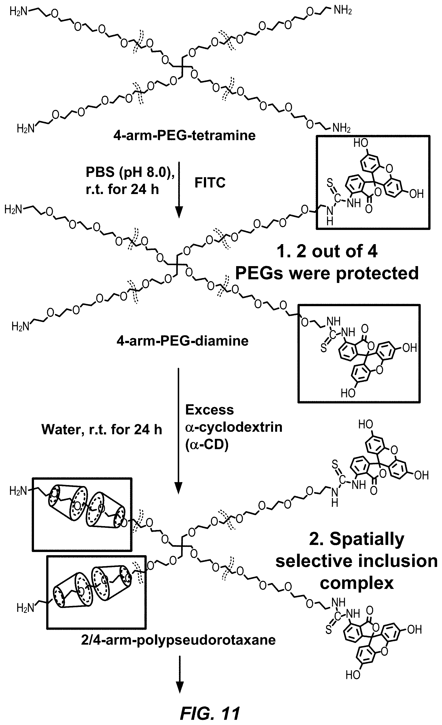 Patent US11779653 Figure 14 – Multi-armed polyrotaxane platform for protected nucleic acid delivery
