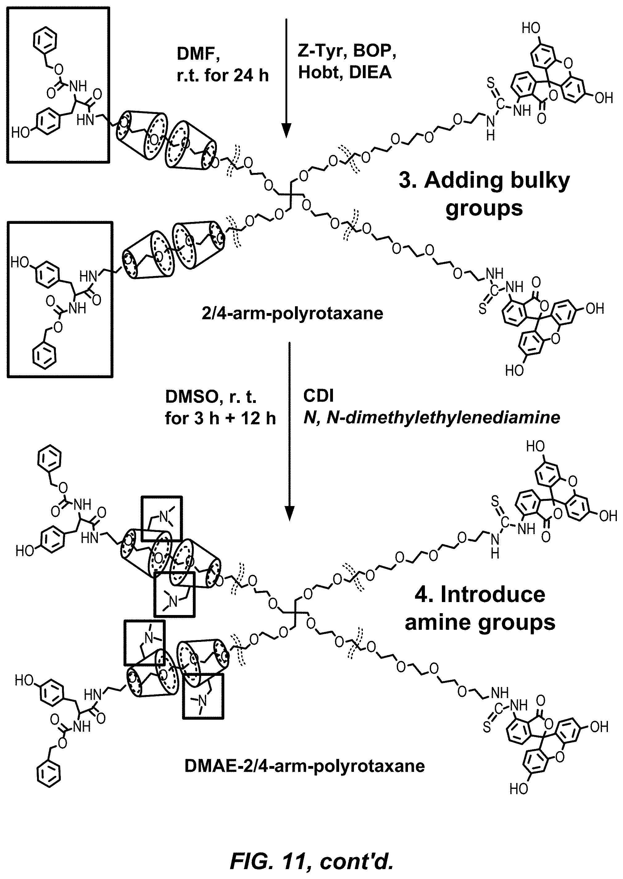 Patent US11779653 Figure 15 – Multi-armed polyrotaxane platform for protected nucleic acid delivery