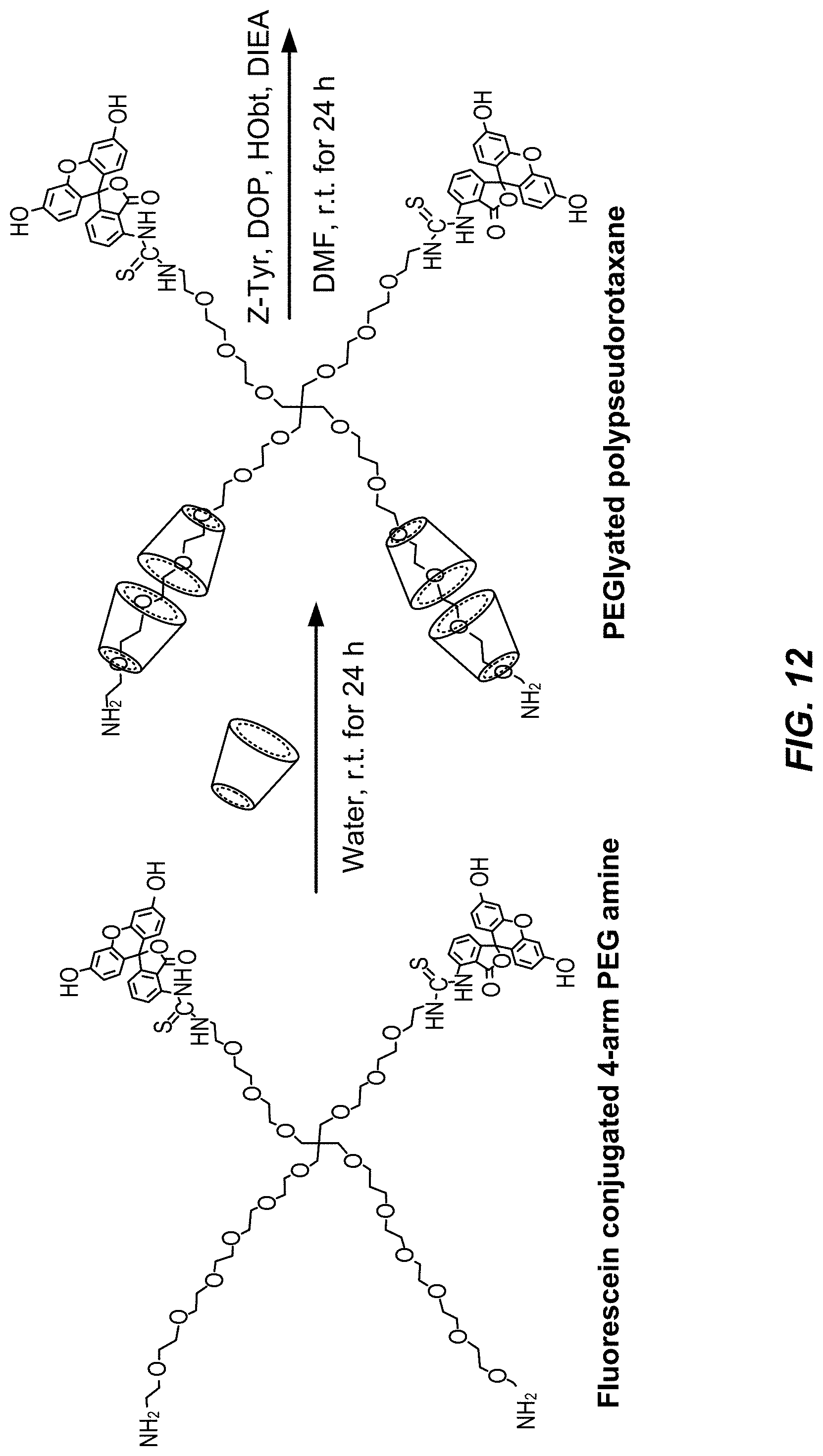 Patent US11779653 Figure 16 – Multi-armed polyrotaxane platform for protected nucleic acid delivery