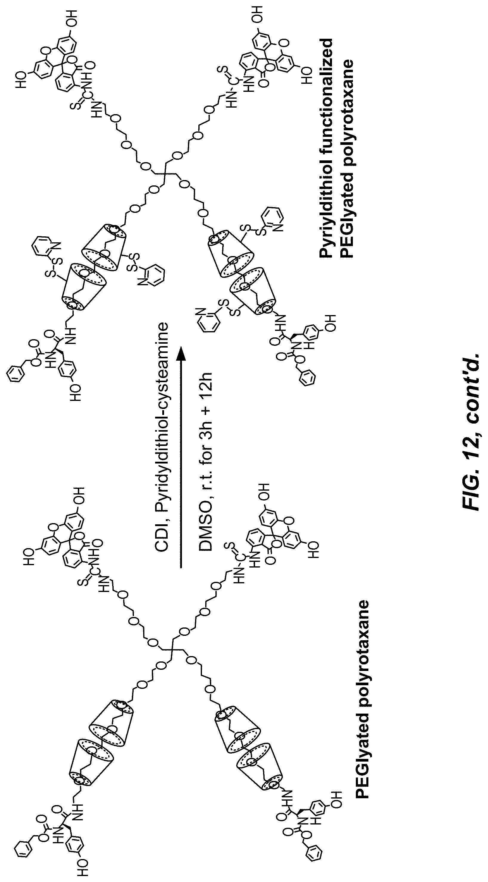 Patent US11779653 Figure 17 – Multi-armed polyrotaxane platform for protected nucleic acid delivery