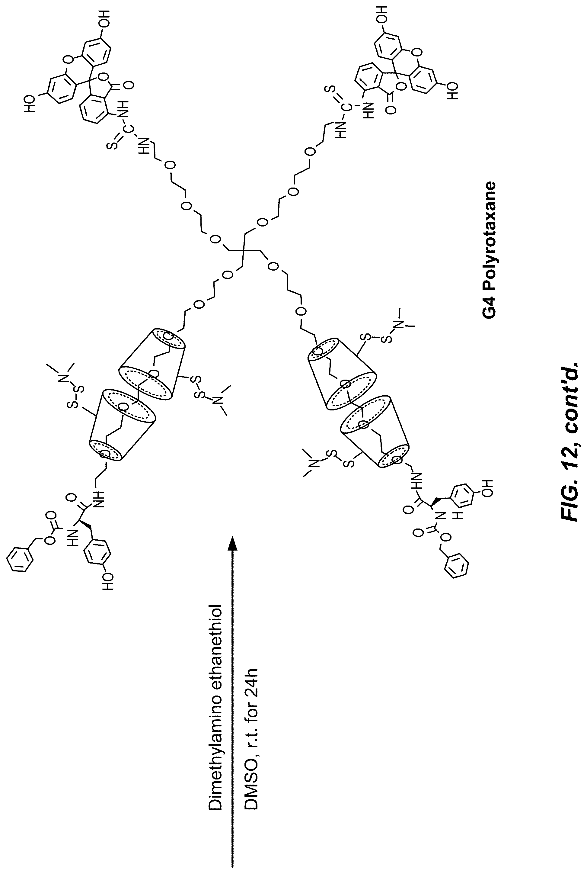 Patent US11779653 Figure 18 – Multi-armed polyrotaxane platform for protected nucleic acid delivery