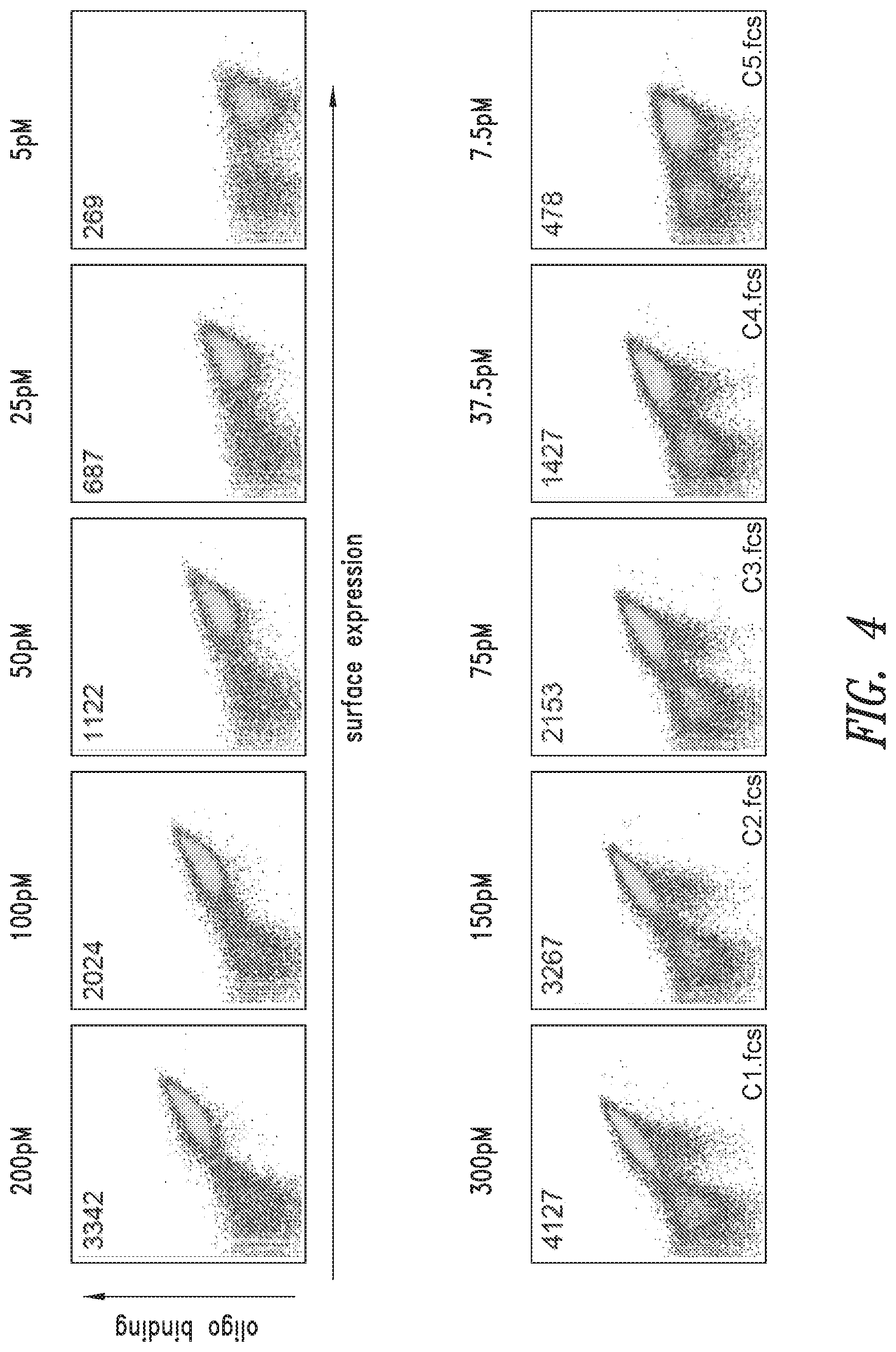 Patent US11779654 Figure 4 – PCSK9 endonuclease variants, compositions, and methods of use