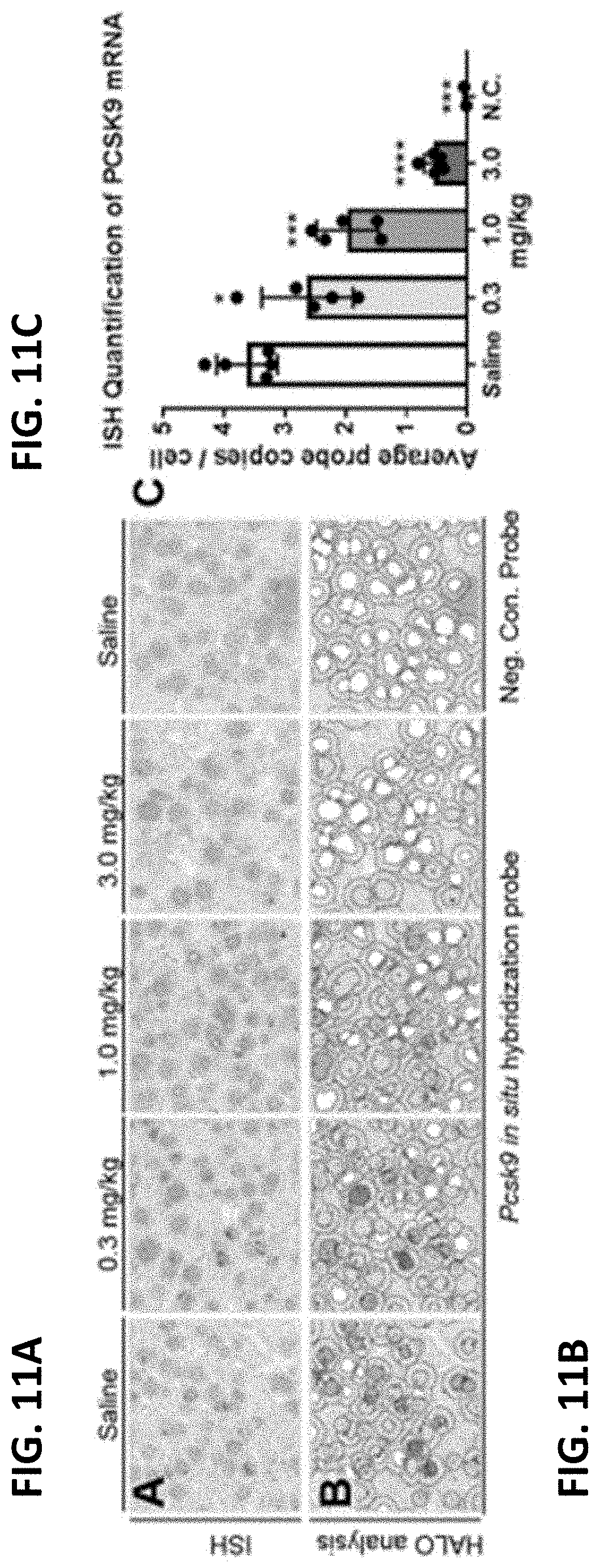 Patent US11779654 Figure 13 – PCSK9 endonuclease variants, compositions, and methods of use