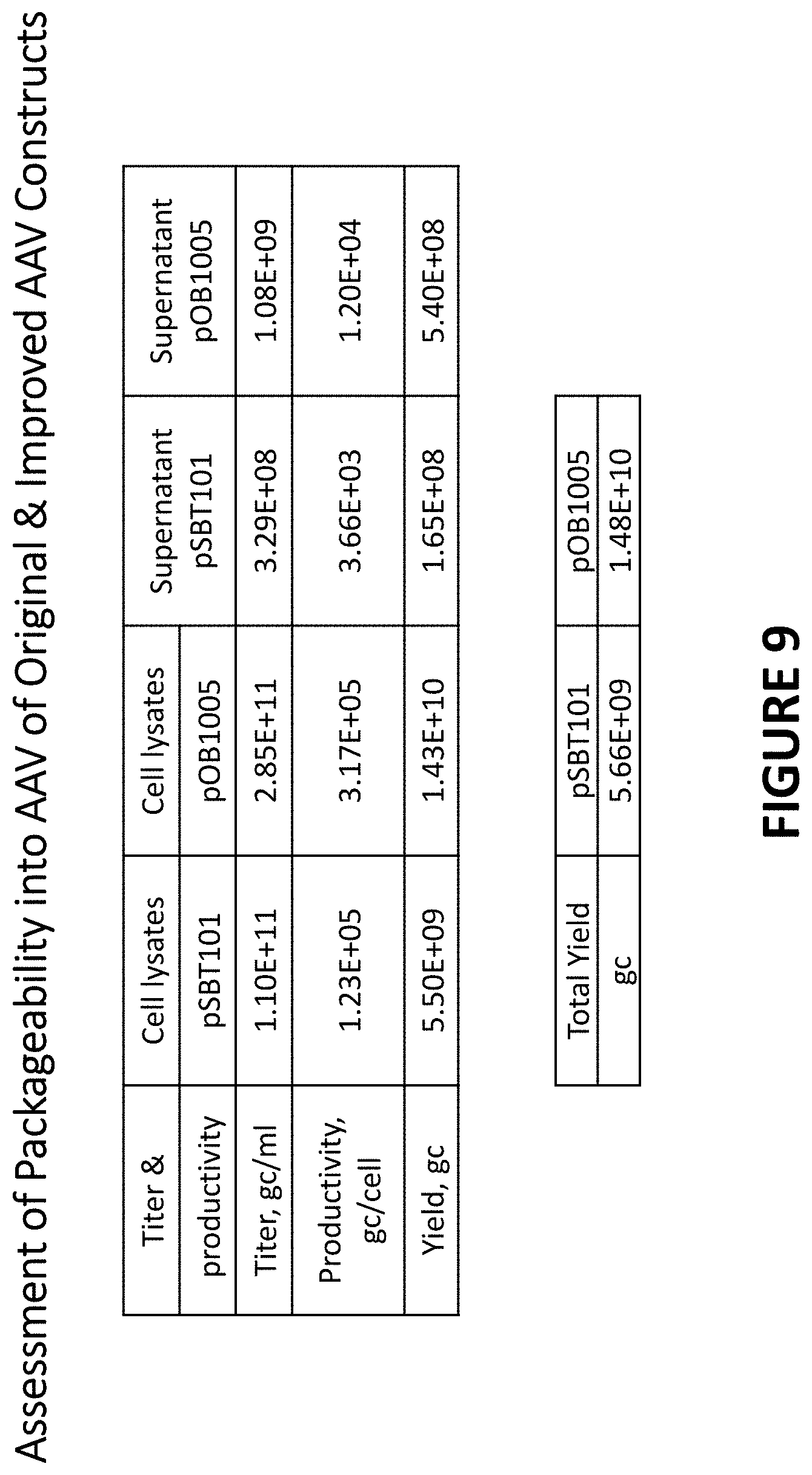 Patent US11779655 Figure 9 – AAV-ABCD1 constructs and use for treatment or prevention of adrenoleukodystrophy (ALD) and/or adrenomyeloneuropathy (AMN)