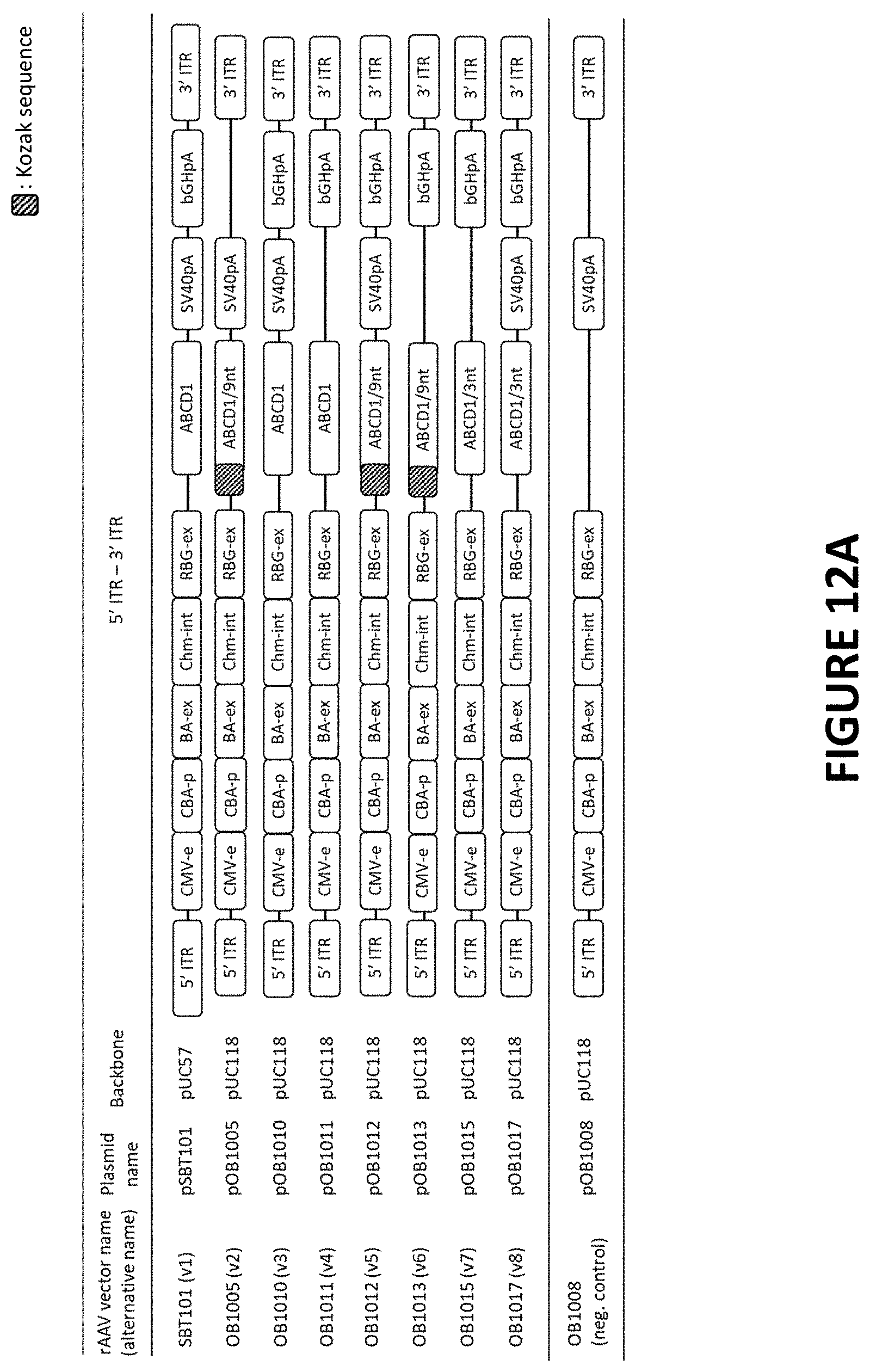 Patent US11779655 Figure 14 – AAV-ABCD1 constructs and use for treatment or prevention of adrenoleukodystrophy (ALD) and/or adrenomyeloneuropathy (AMN)