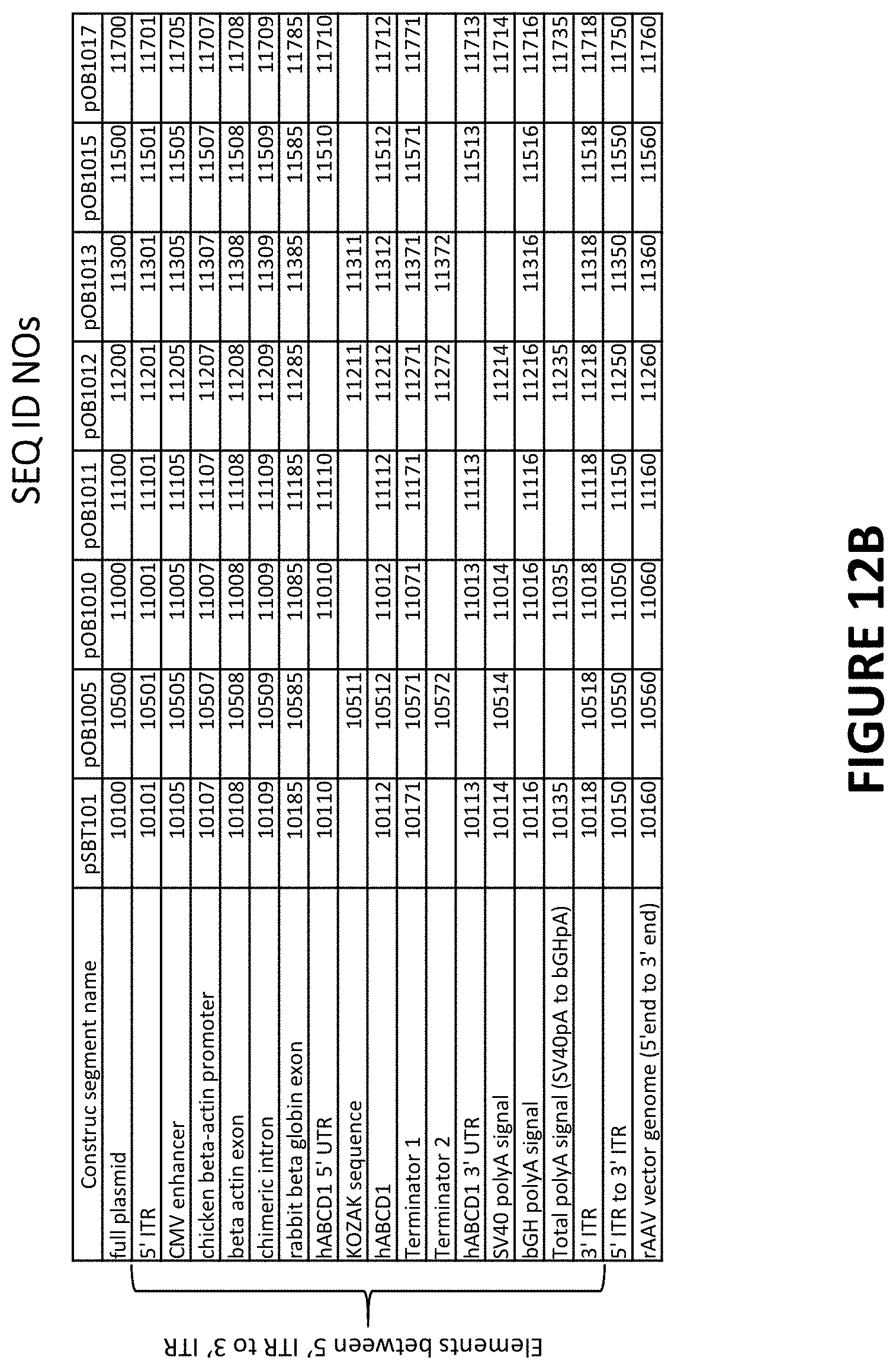 Patent US11779655 Figure 15 – AAV-ABCD1 constructs and use for treatment or prevention of adrenoleukodystrophy (ALD) and/or adrenomyeloneuropathy (AMN)