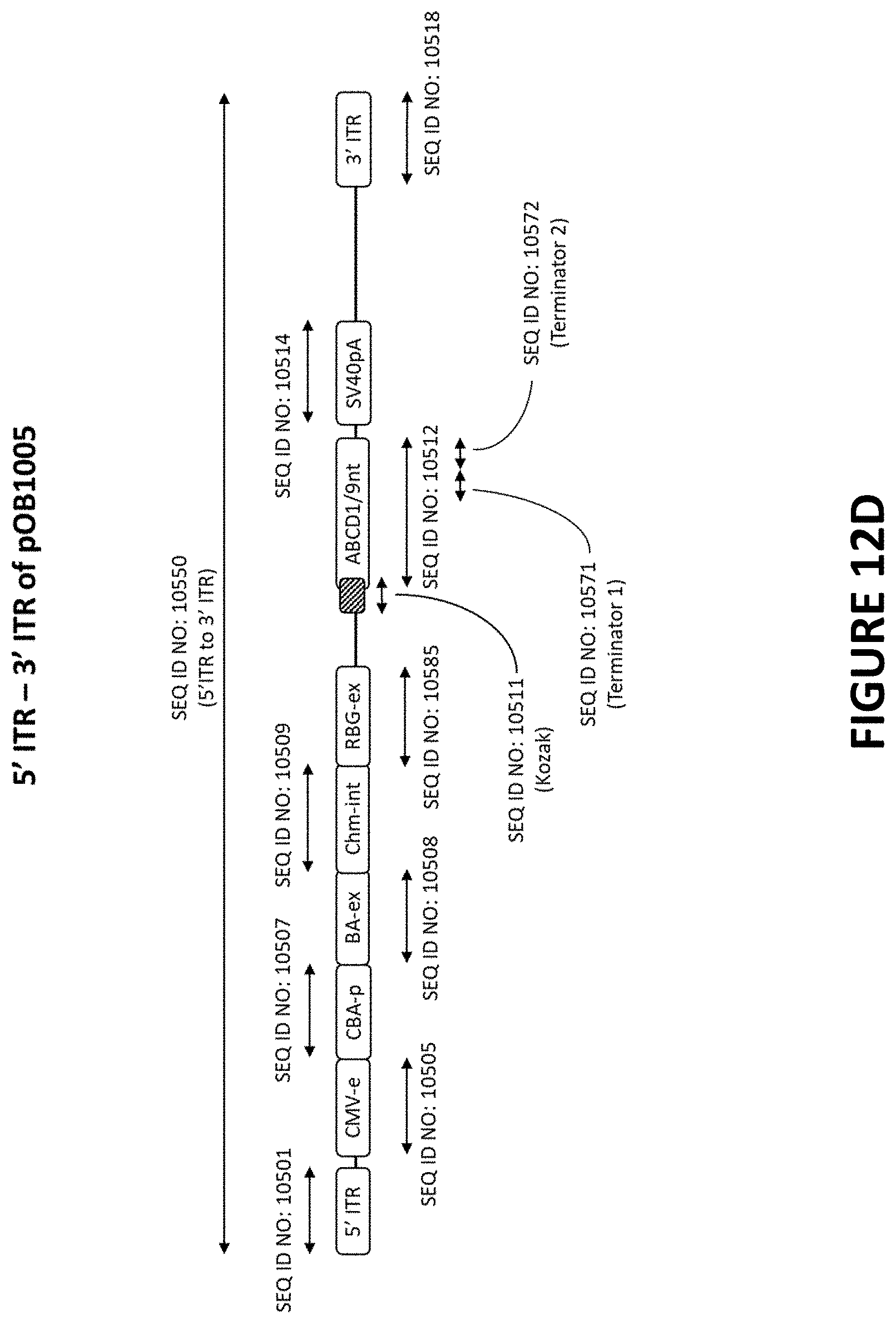 Patent US11779655 Figure 17 – AAV-ABCD1 constructs and use for treatment or prevention of adrenoleukodystrophy (ALD) and/or adrenomyeloneuropathy (AMN)