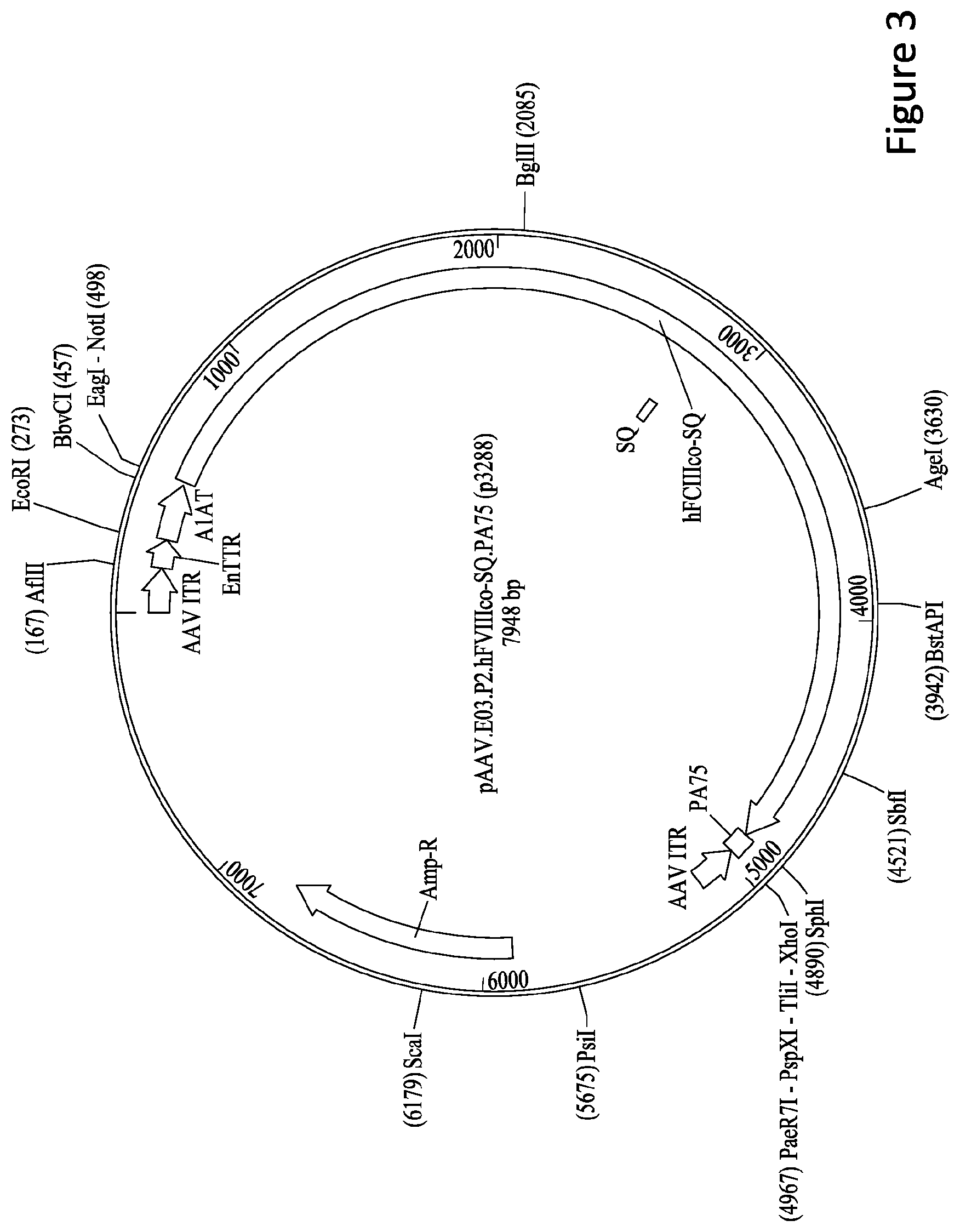 Patent US11779656 Figure 3 – Gene therapy for treating hemophilia A