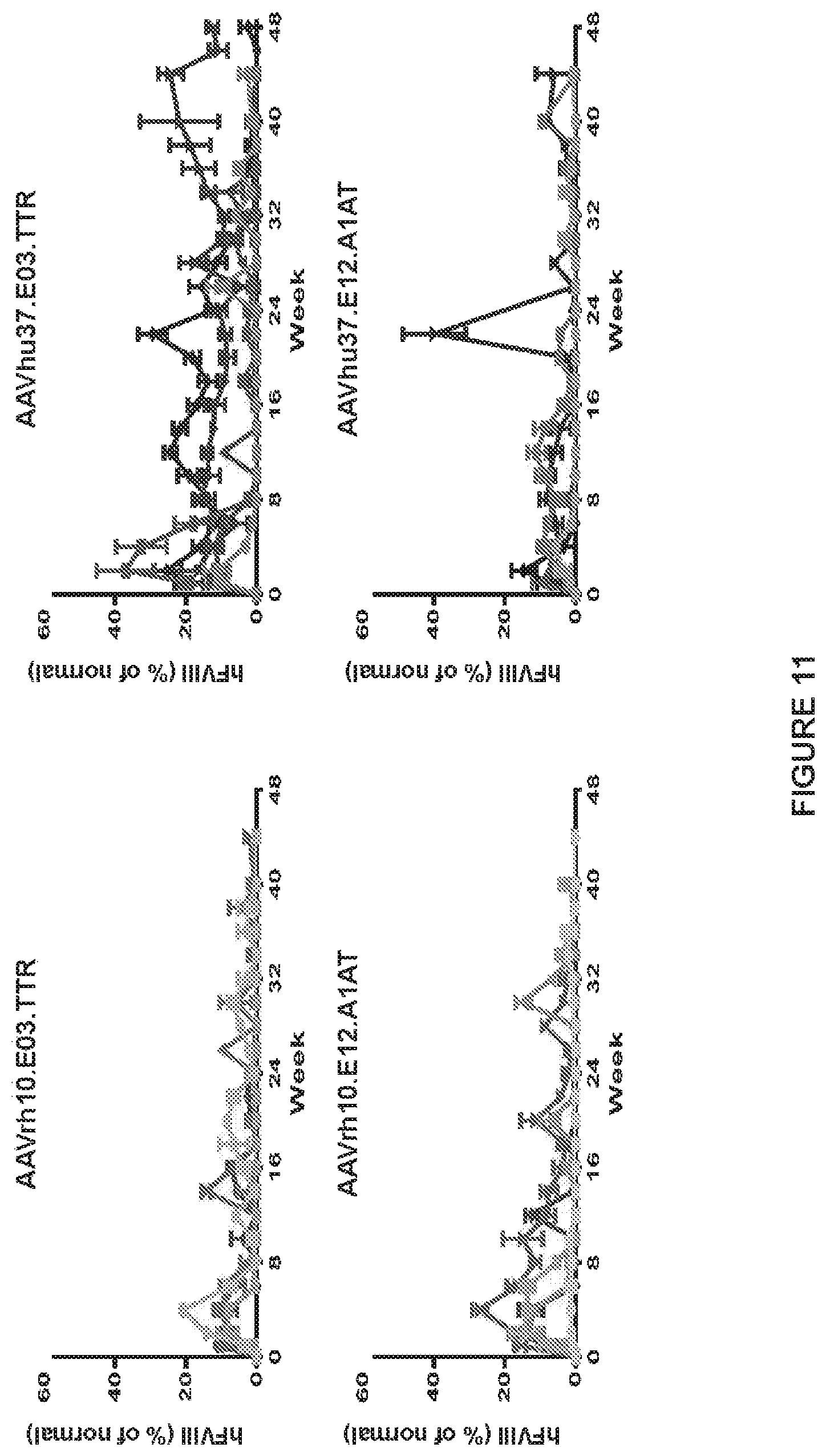 Patent US11779656 Figure 11 – Gene therapy for treating hemophilia A