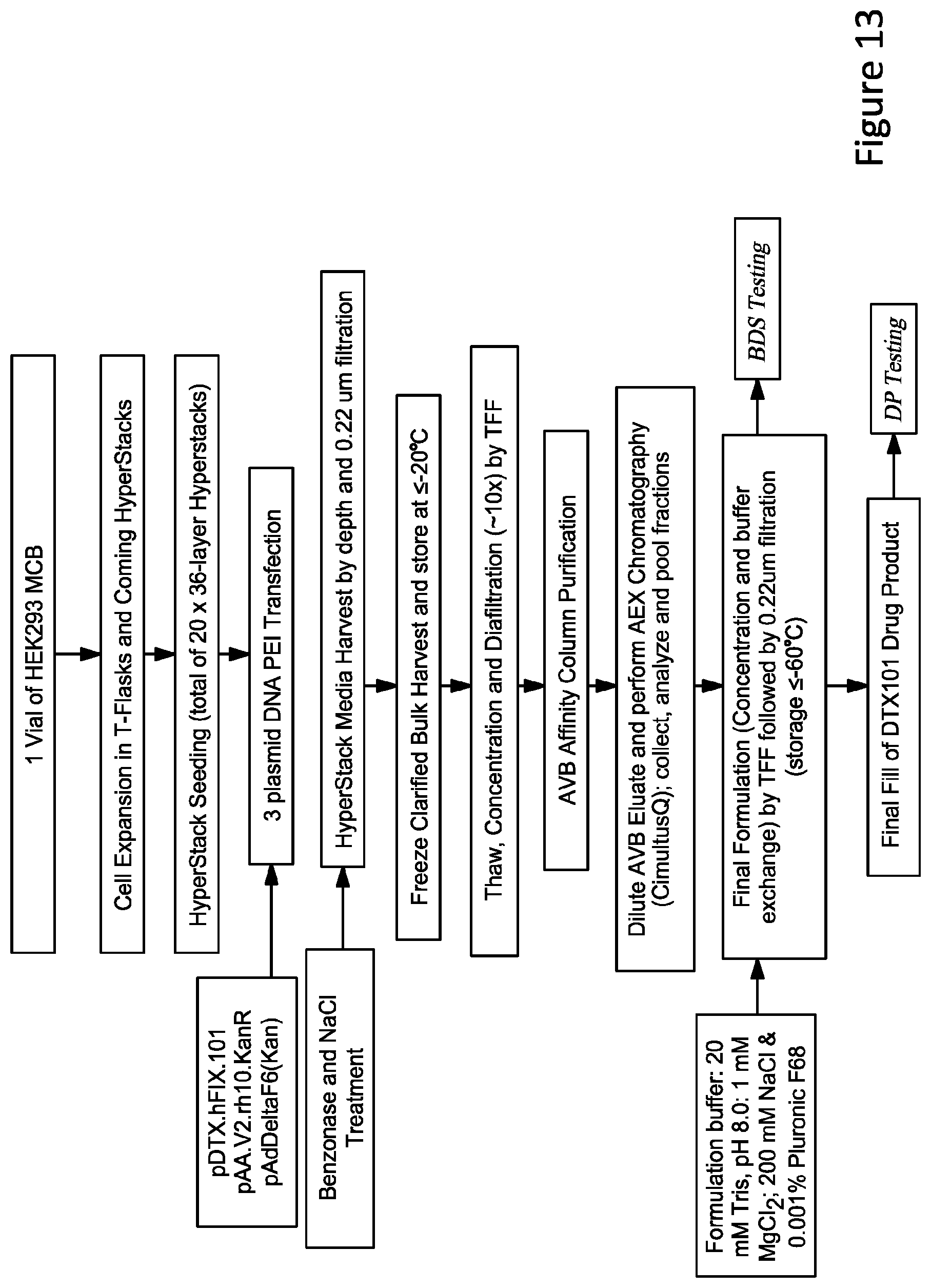 Patent US11779656 Figure 13 – Gene therapy for treating hemophilia A