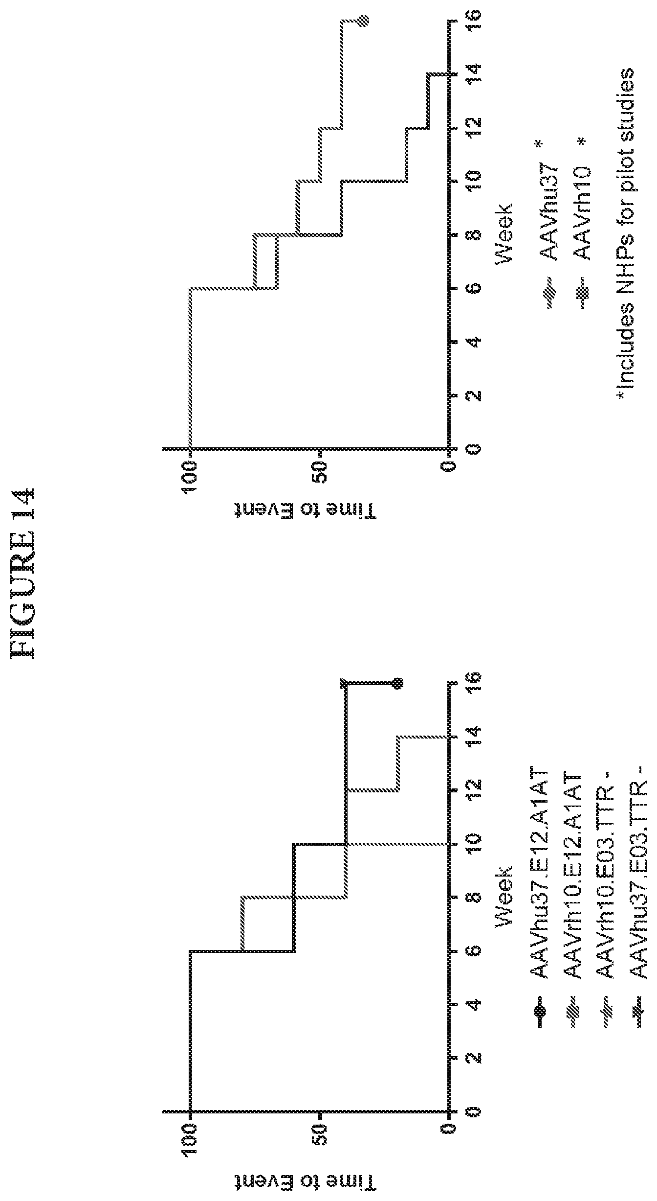 Patent US11779656 Figure 14 – Gene therapy for treating hemophilia A
