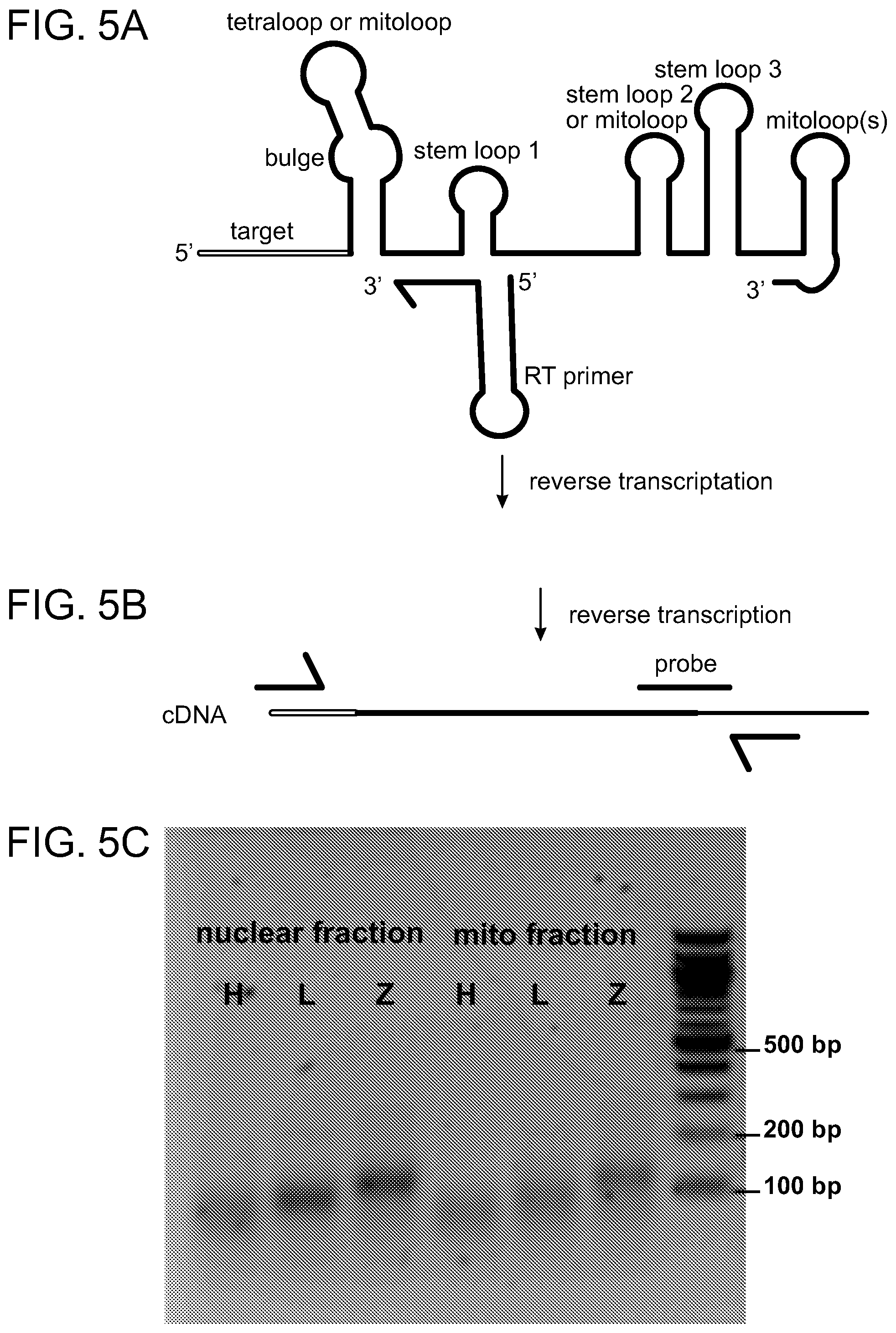 Patent US11779657 Figure 7 – Compositions and methods for mitochondrial genome editing