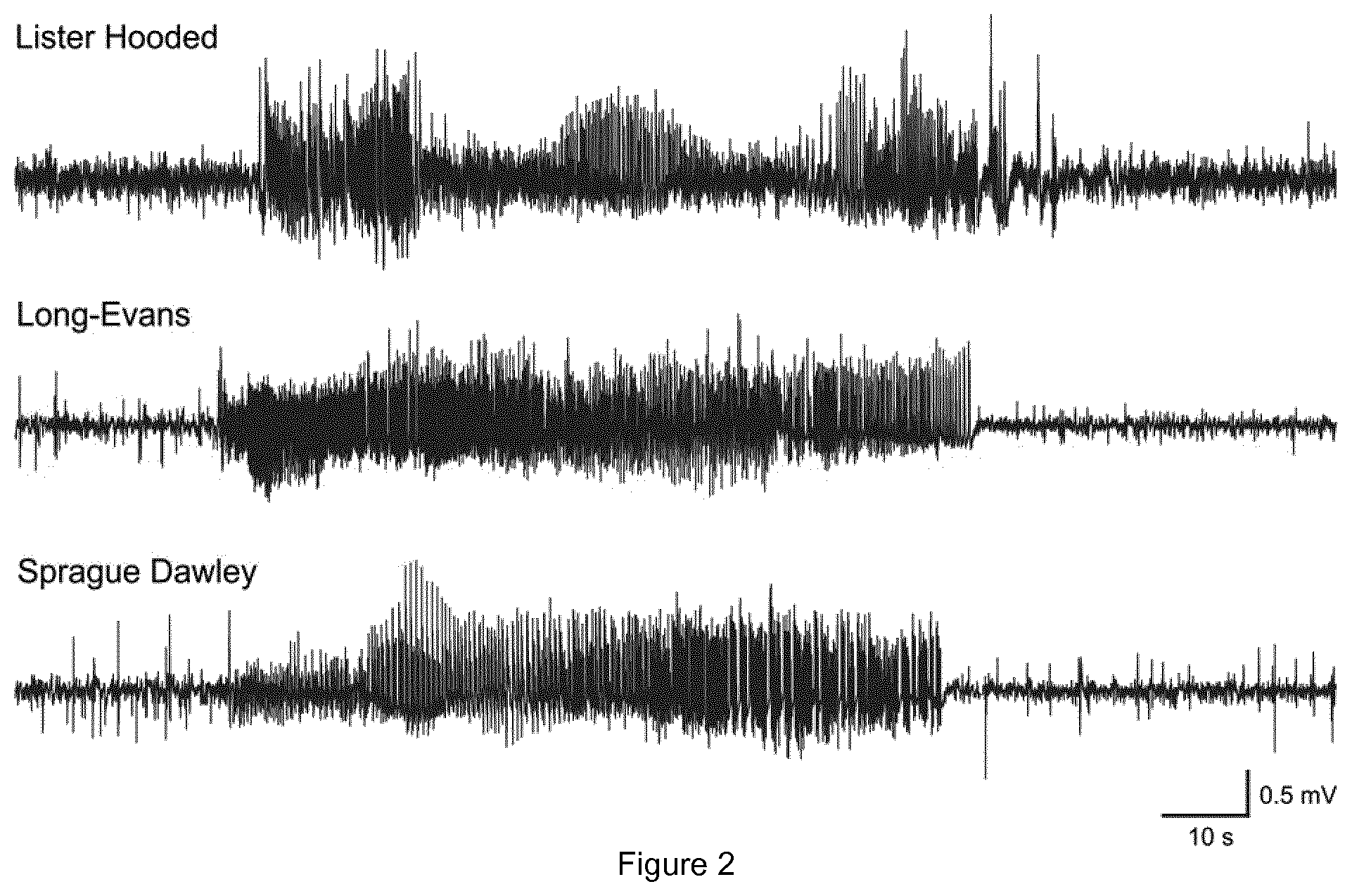 Patent US11779658 Figure 2 – Expression vectors comprising engineered genes