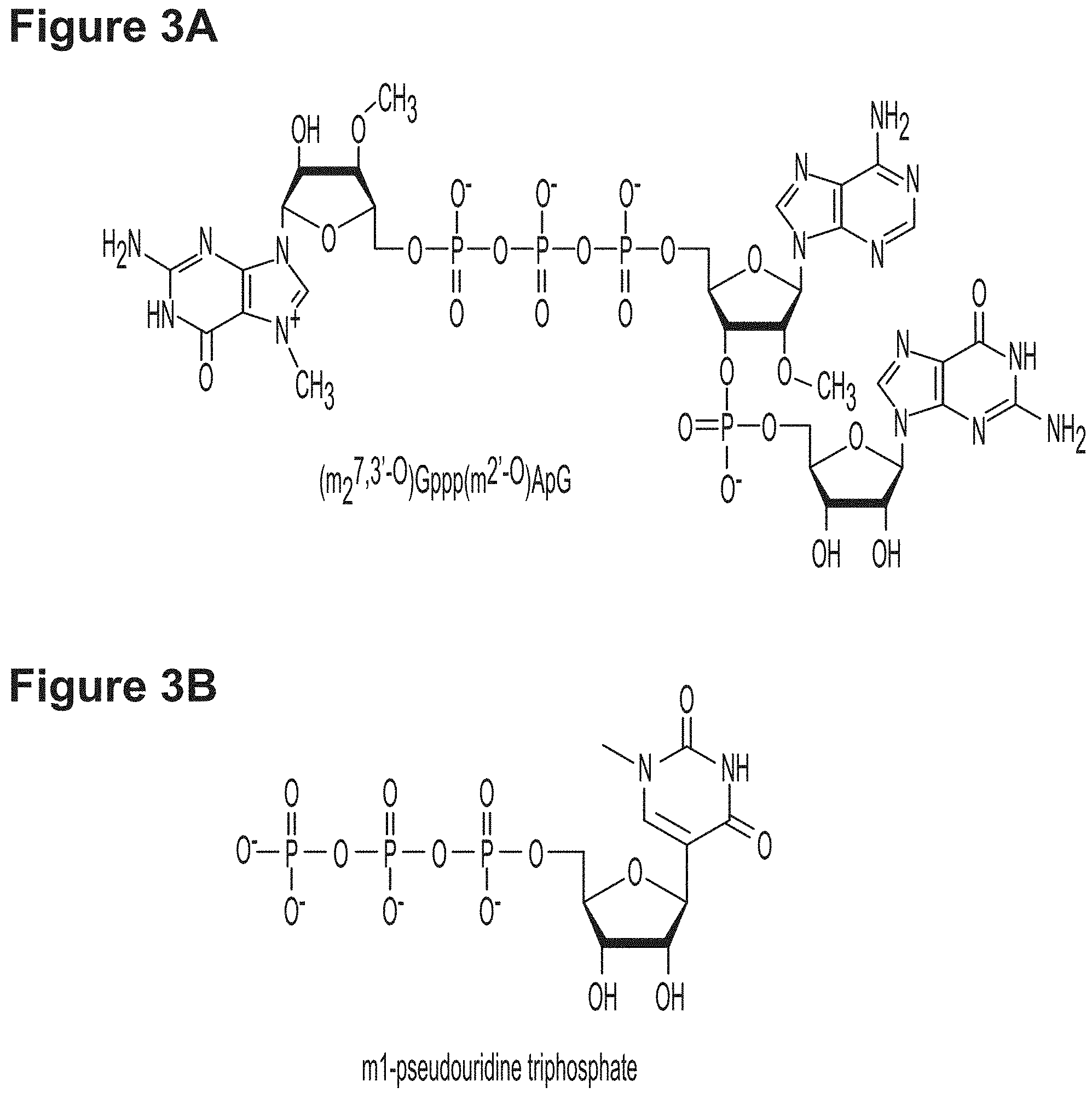 Patent US11779659 Figure 3 – RNA constructs and uses thereof