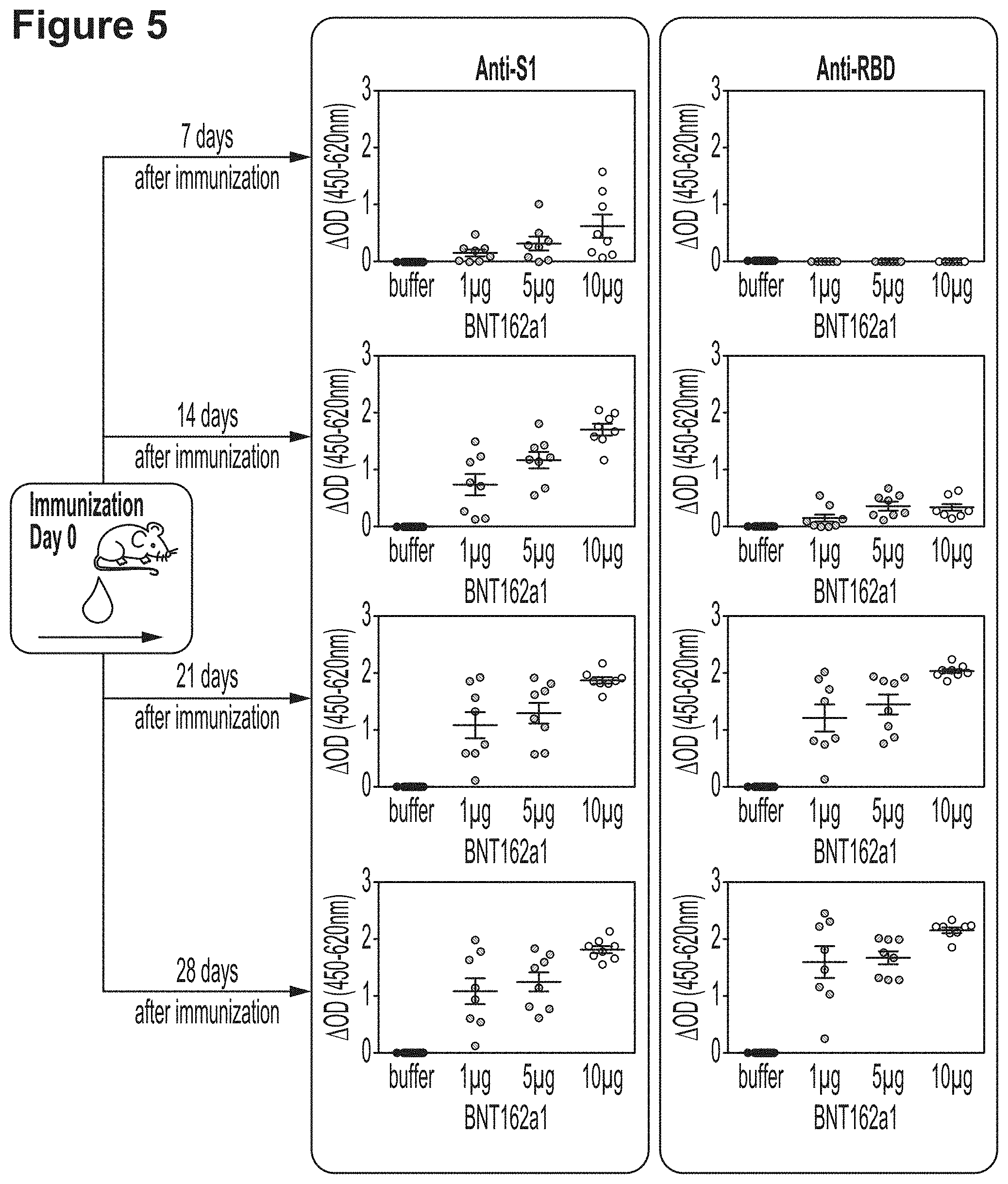 Patent US11779659 Figure 9 – RNA constructs and uses thereof