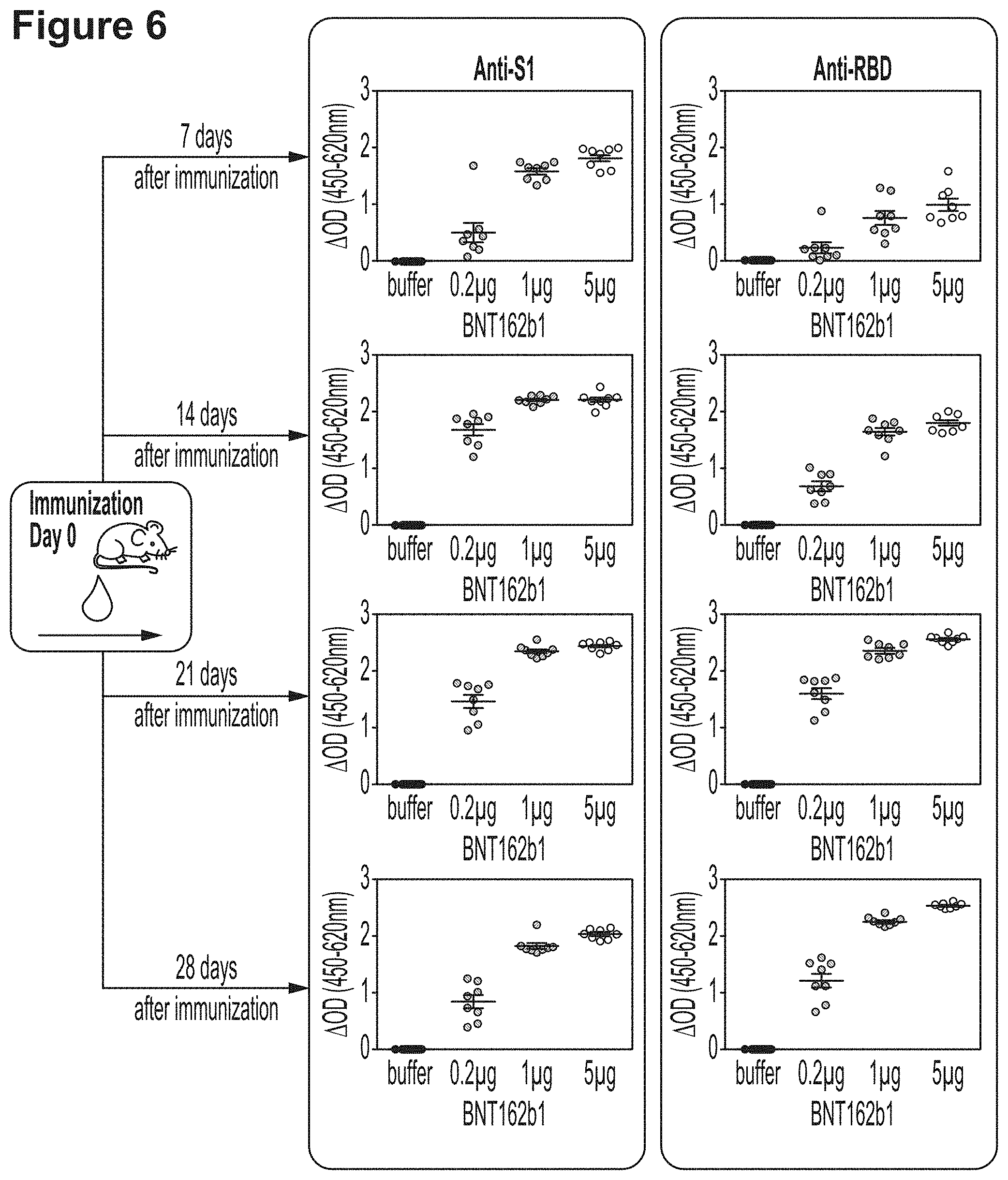 Patent US11779659 Figure 10 – RNA constructs and uses thereof
