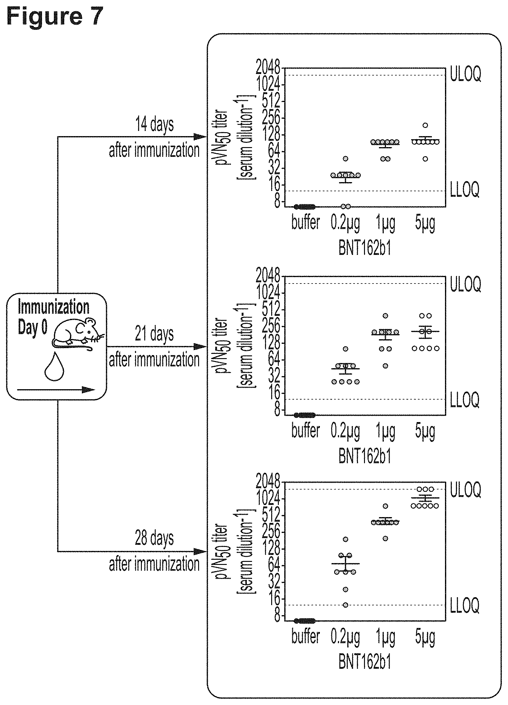 Patent US11779659 Figure 11 – RNA constructs and uses thereof