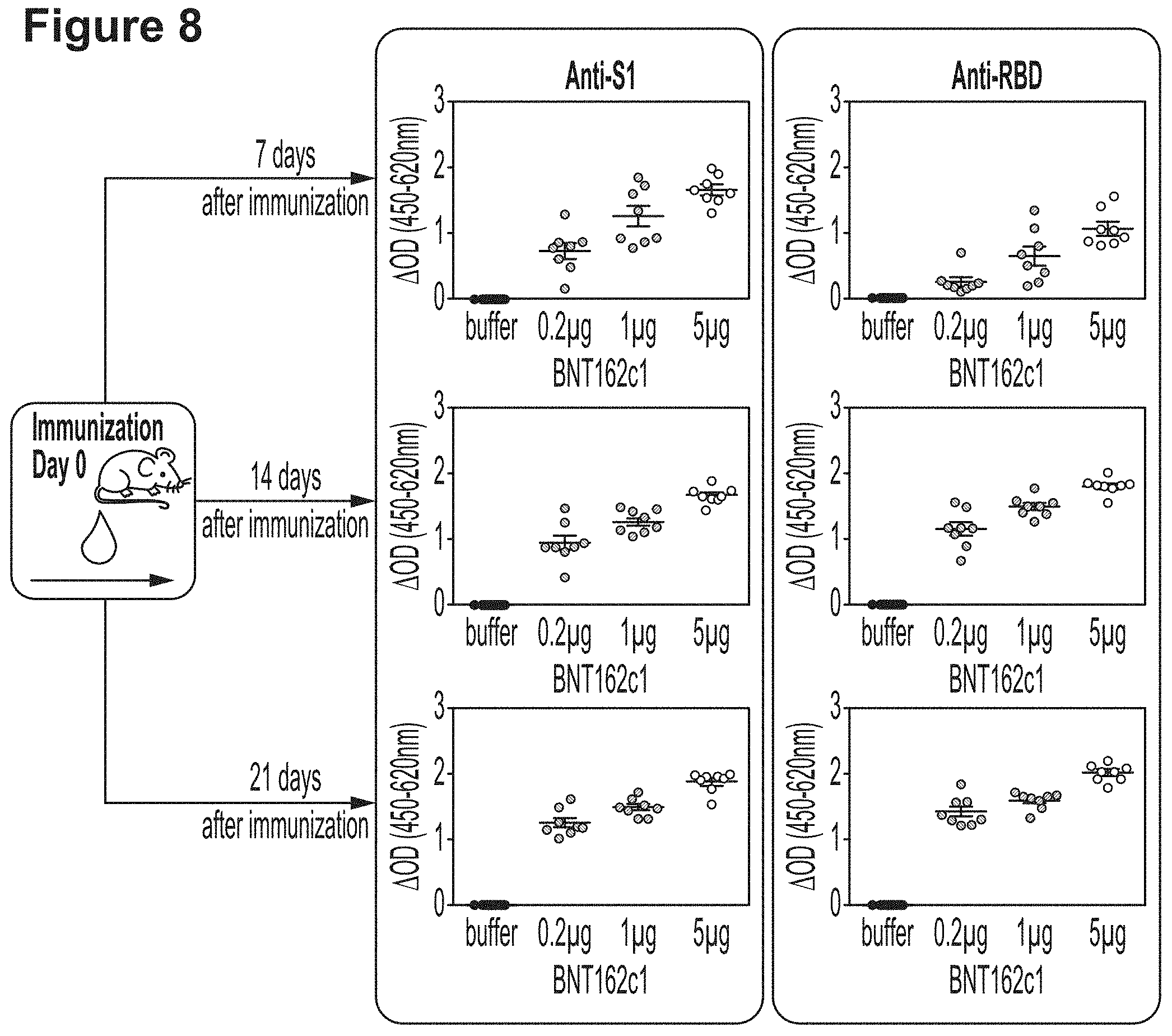 Patent US11779659 Figure 12 – RNA constructs and uses thereof