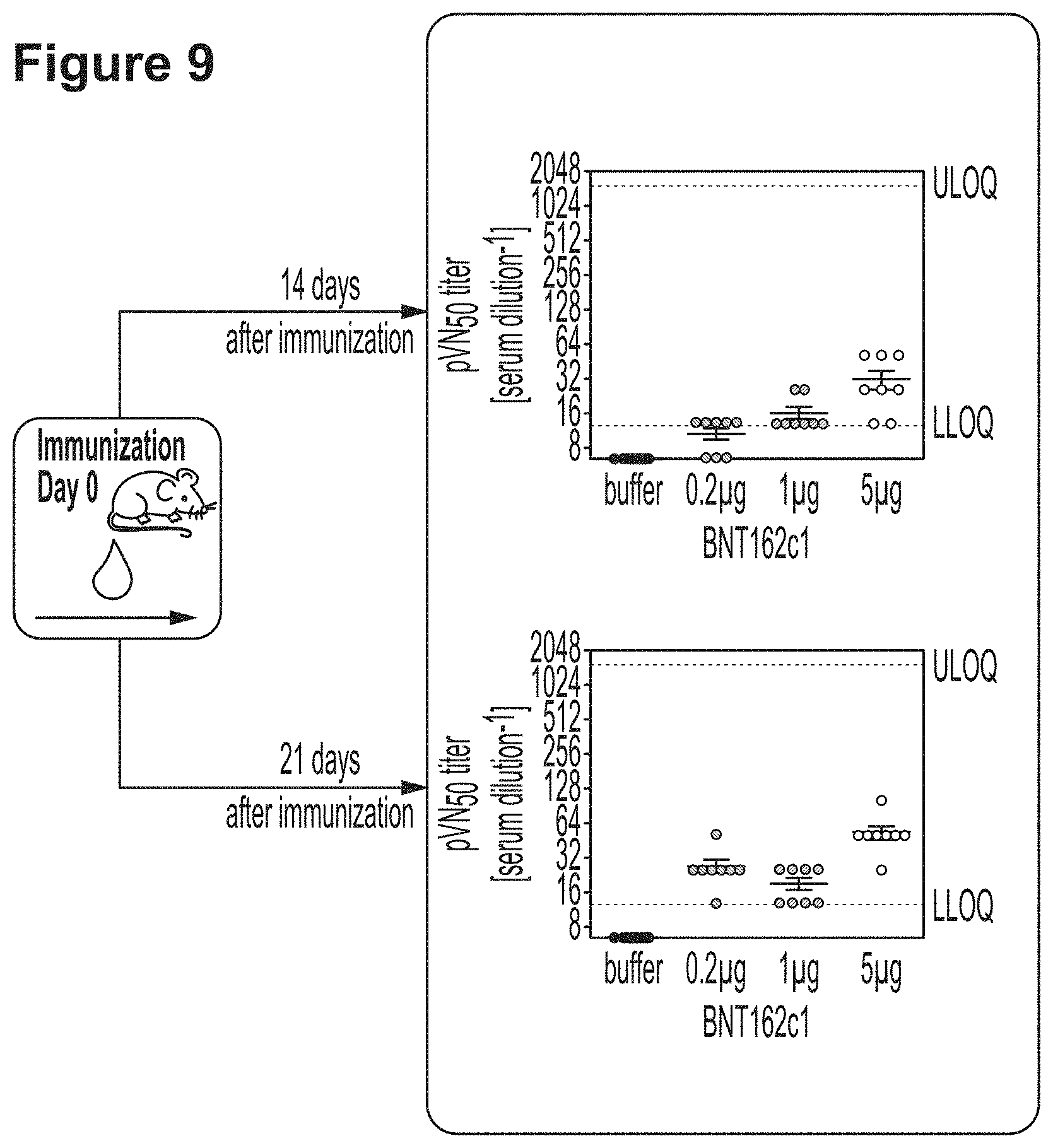 Patent US11779659 Figure 13 – RNA constructs and uses thereof