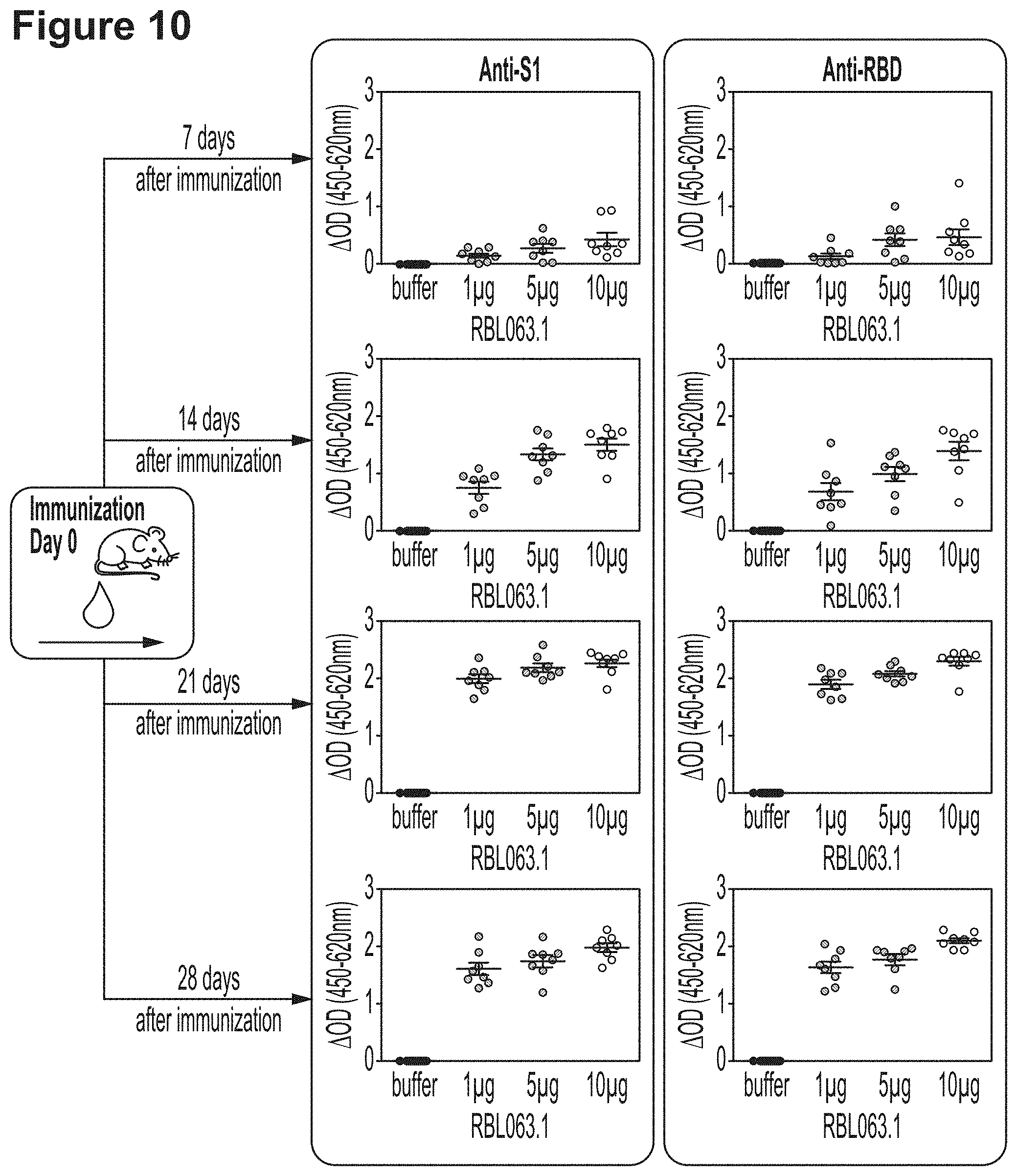 Patent US11779659 Figure 14 – RNA constructs and uses thereof