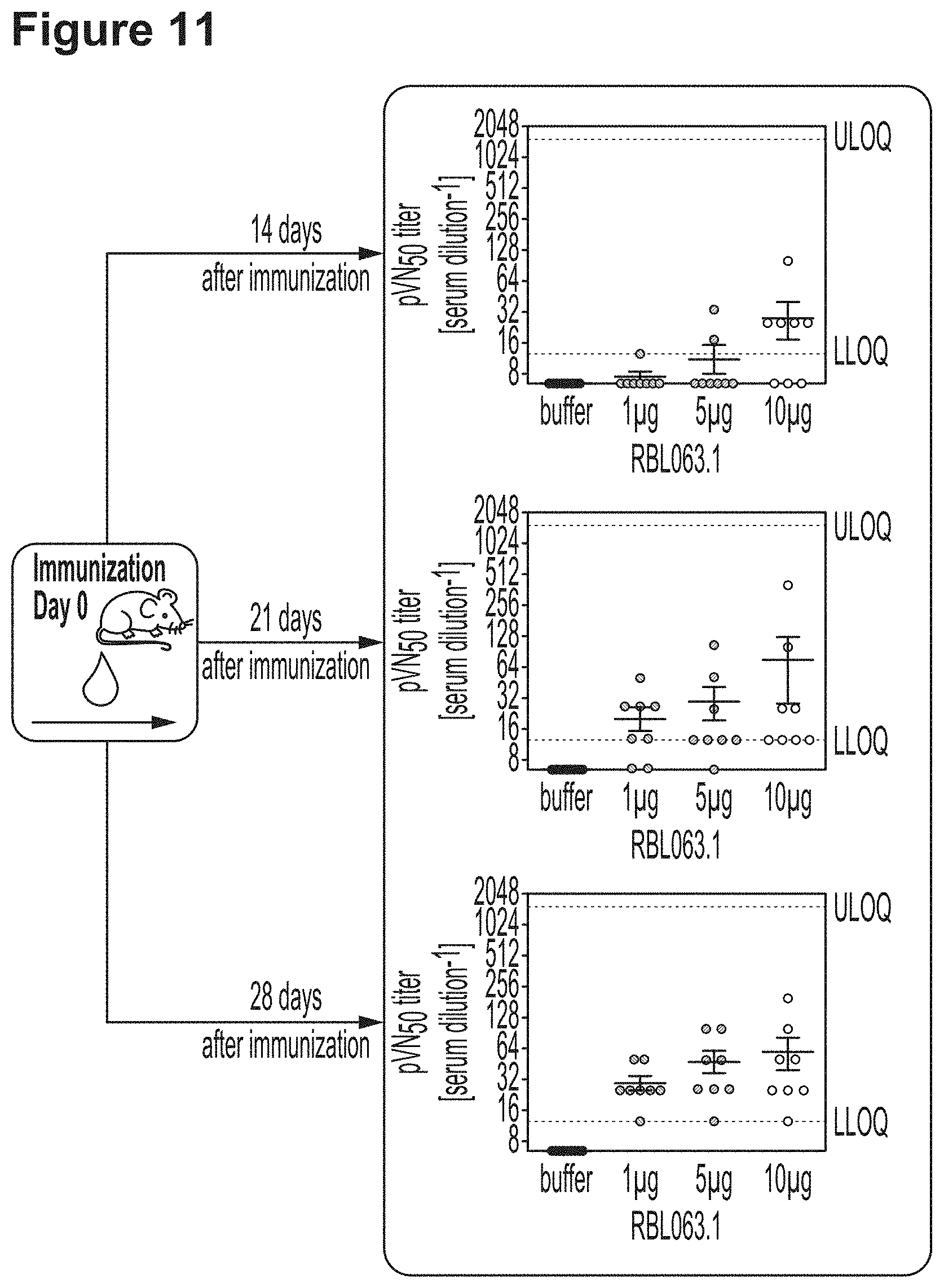 Patent US11779659 Figure 15 – RNA constructs and uses thereof