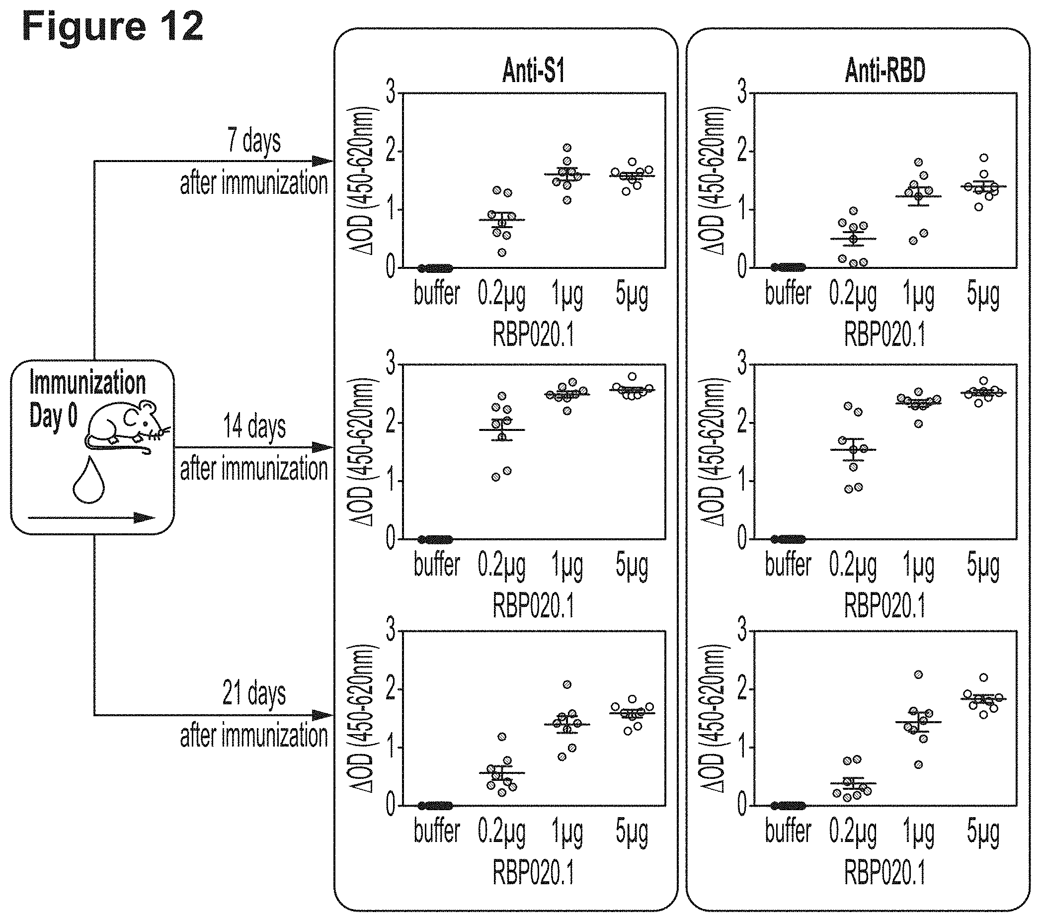 Patent US11779659 Figure 16 – RNA constructs and uses thereof