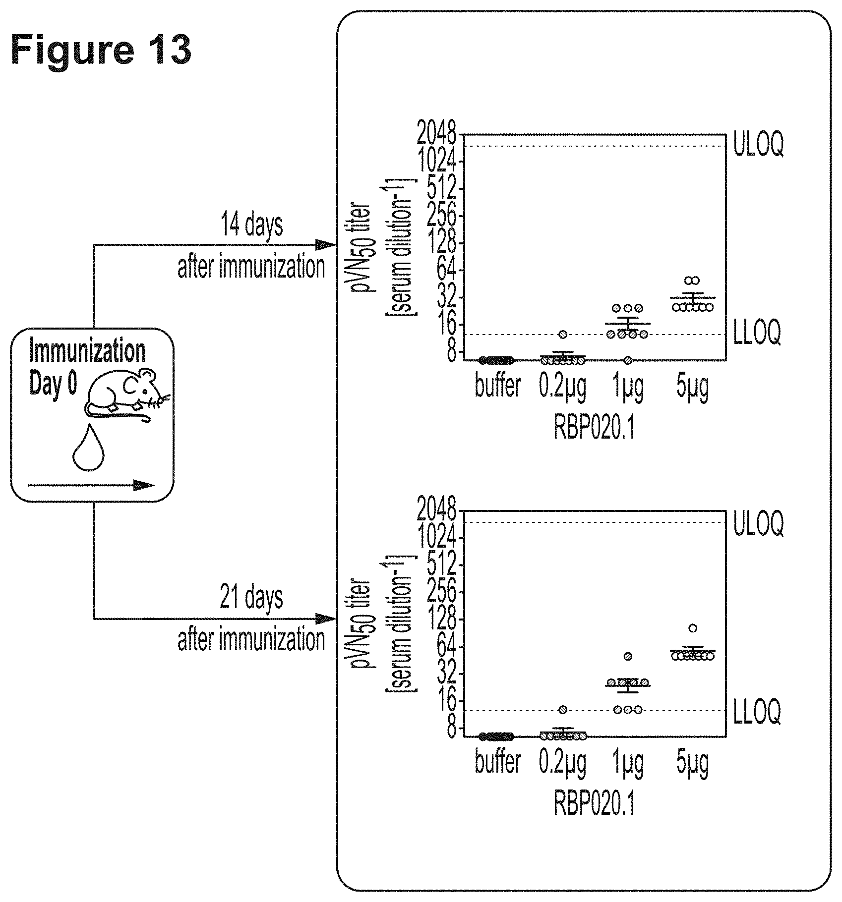 Patent US11779659 Figure 17 – RNA constructs and uses thereof