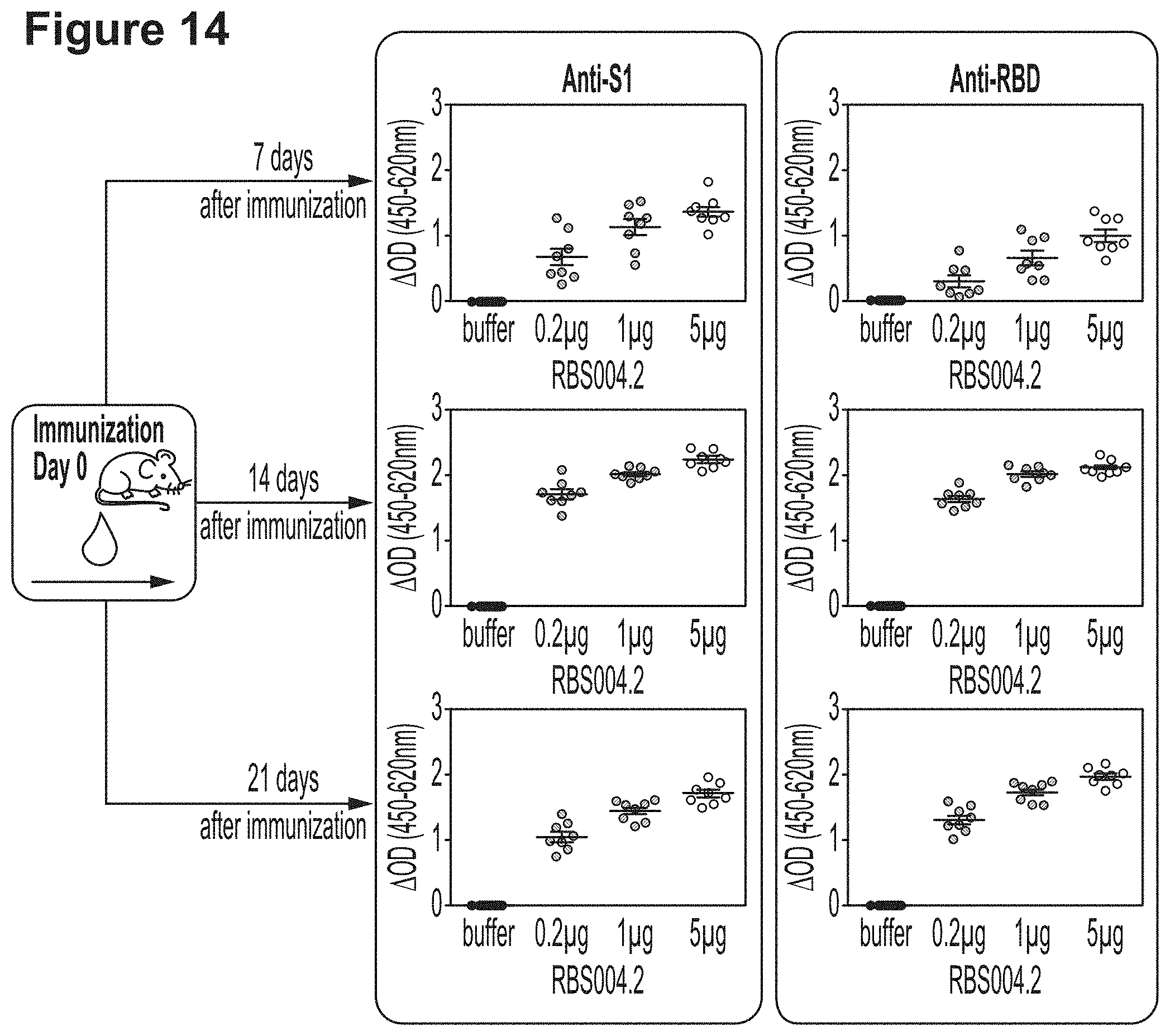 Patent US11779659 Figure 18 – RNA constructs and uses thereof