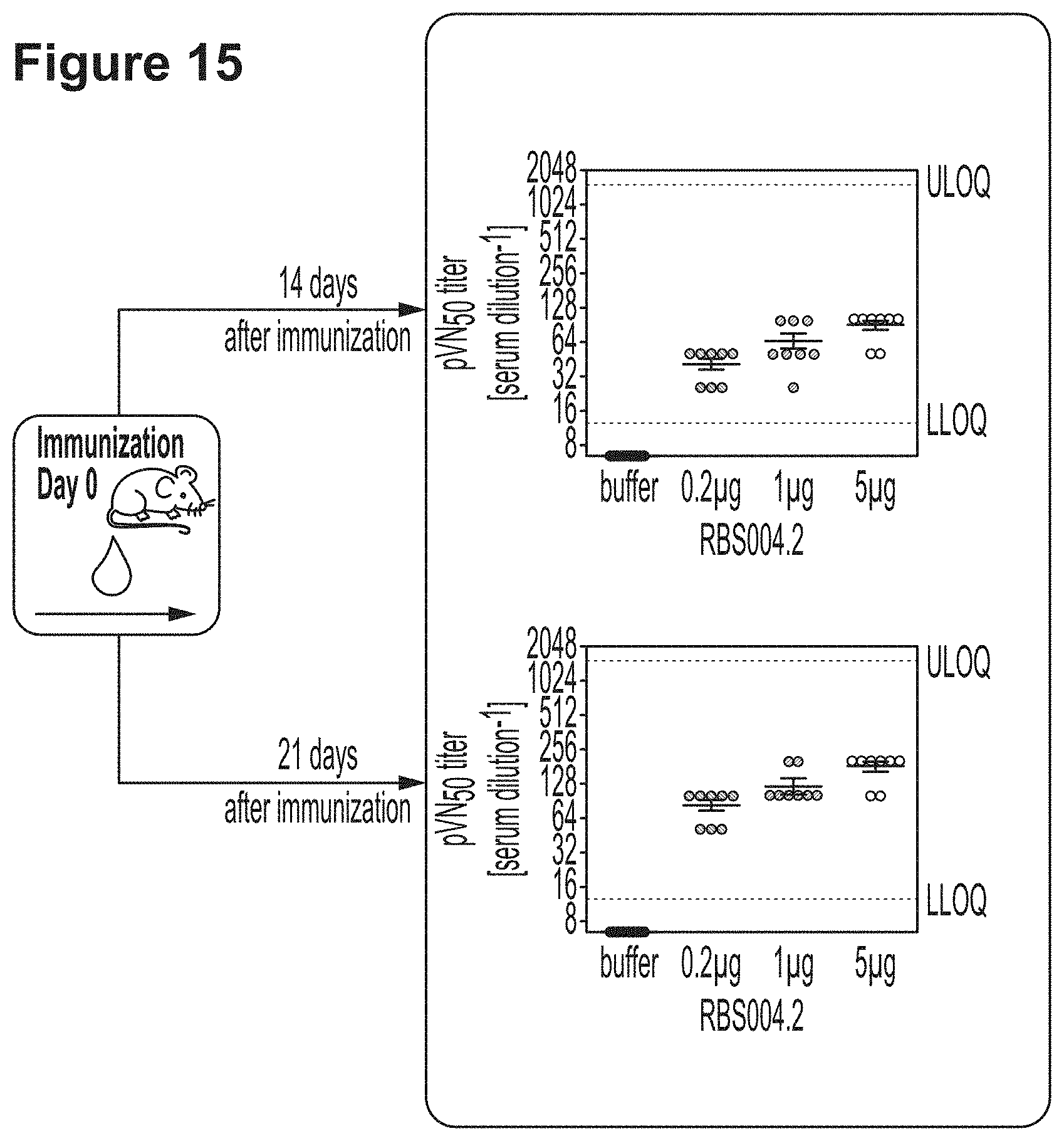 Patent US11779659 Figure 19 – RNA constructs and uses thereof