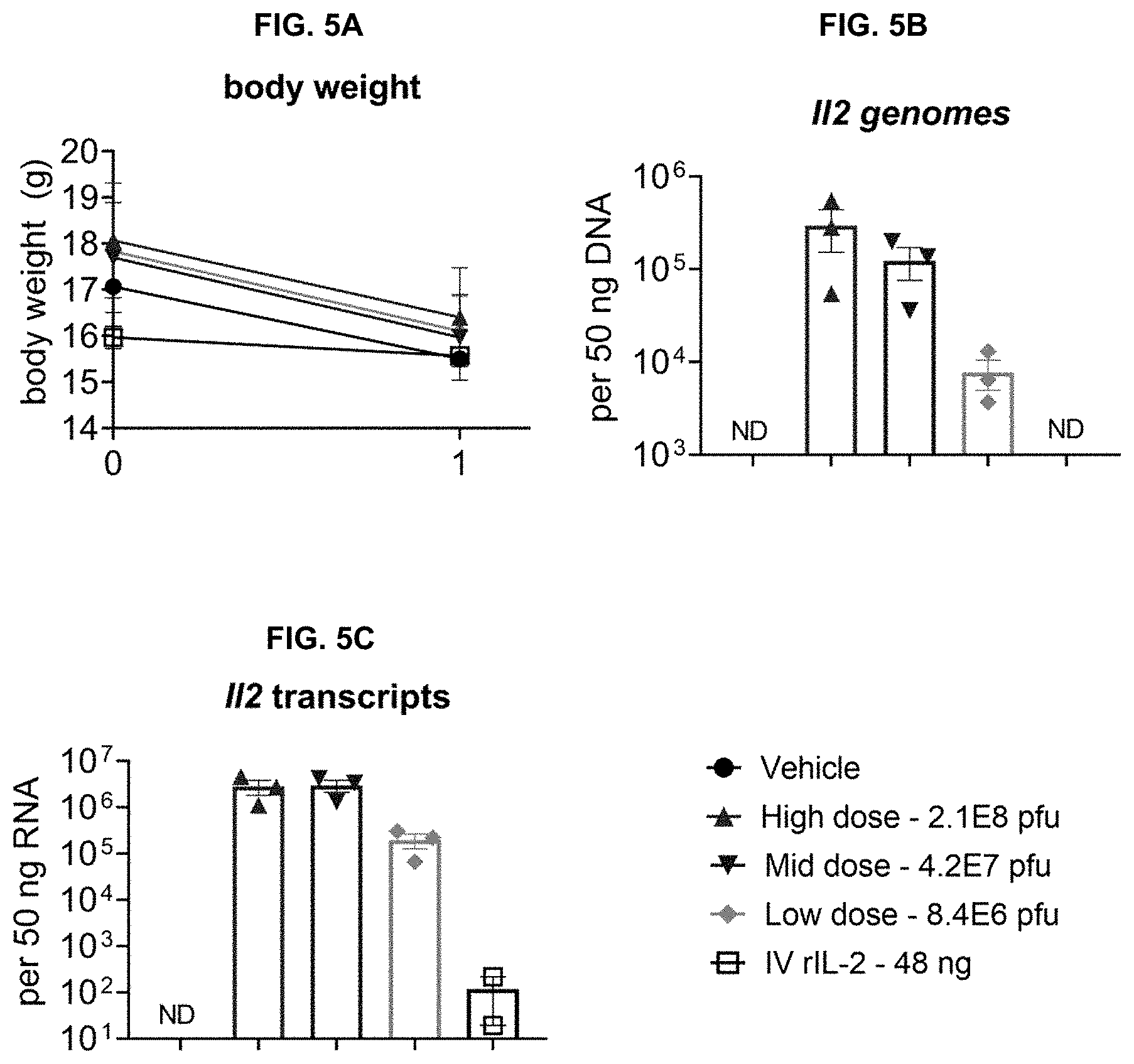 Patent US11779660 Figure 13 – Viral vectors for cancer therapy