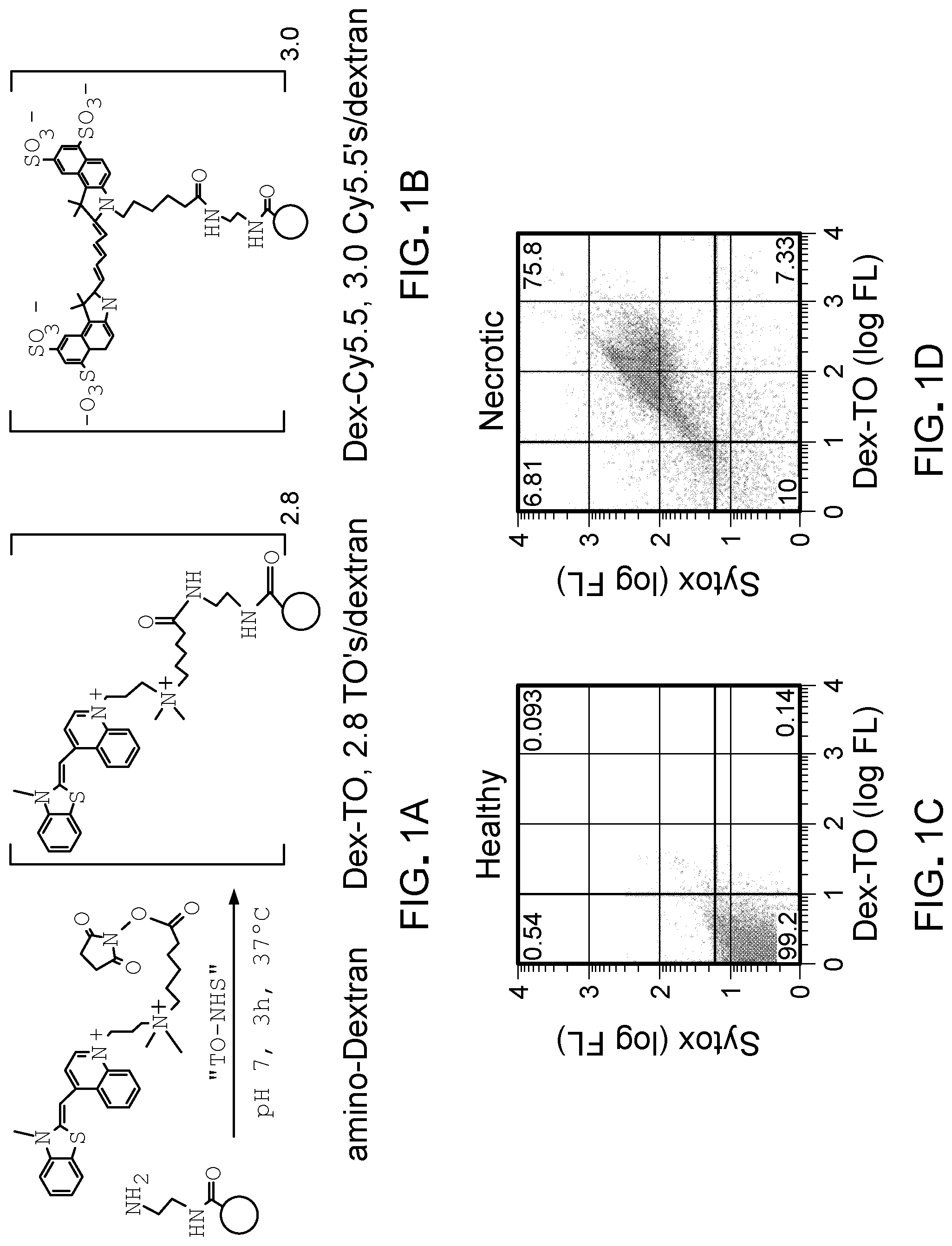 Patent US11779661 Figure 1 – Theranostic nucleic acid binding fluorescent nanoprobes and uses thereof