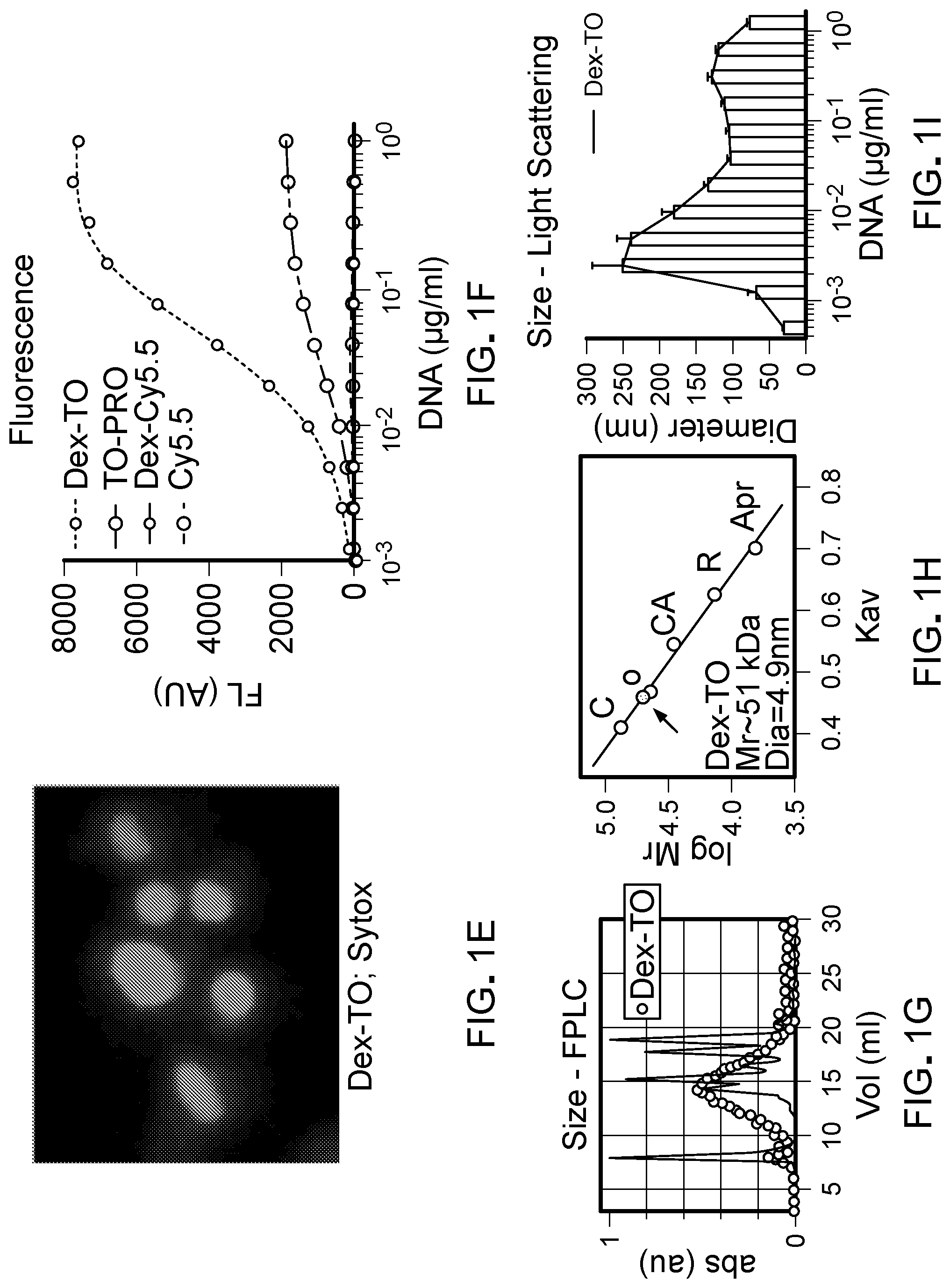 Patent US11779661 Figure 2 – Theranostic nucleic acid binding fluorescent nanoprobes and uses thereof