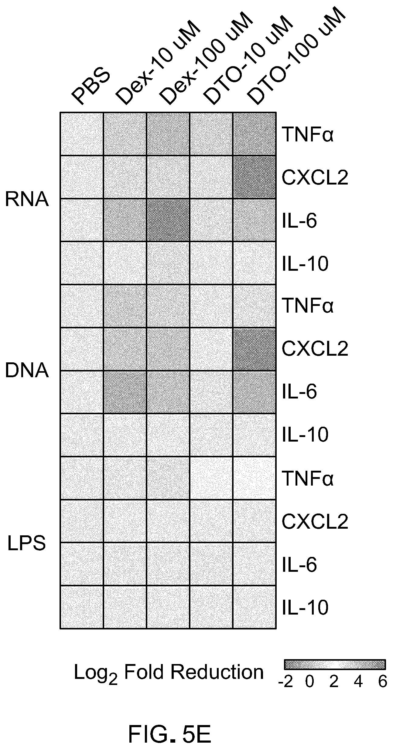 Patent US11779661 Figure 11 – Theranostic nucleic acid binding fluorescent nanoprobes and uses thereof