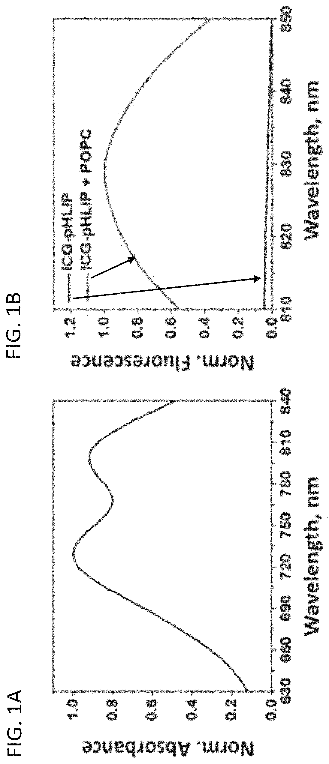 Patent US11779662 Figure 1 – Fluorescent compound comprising a fluorophore conjugated to a pH-triggered polypeptide
