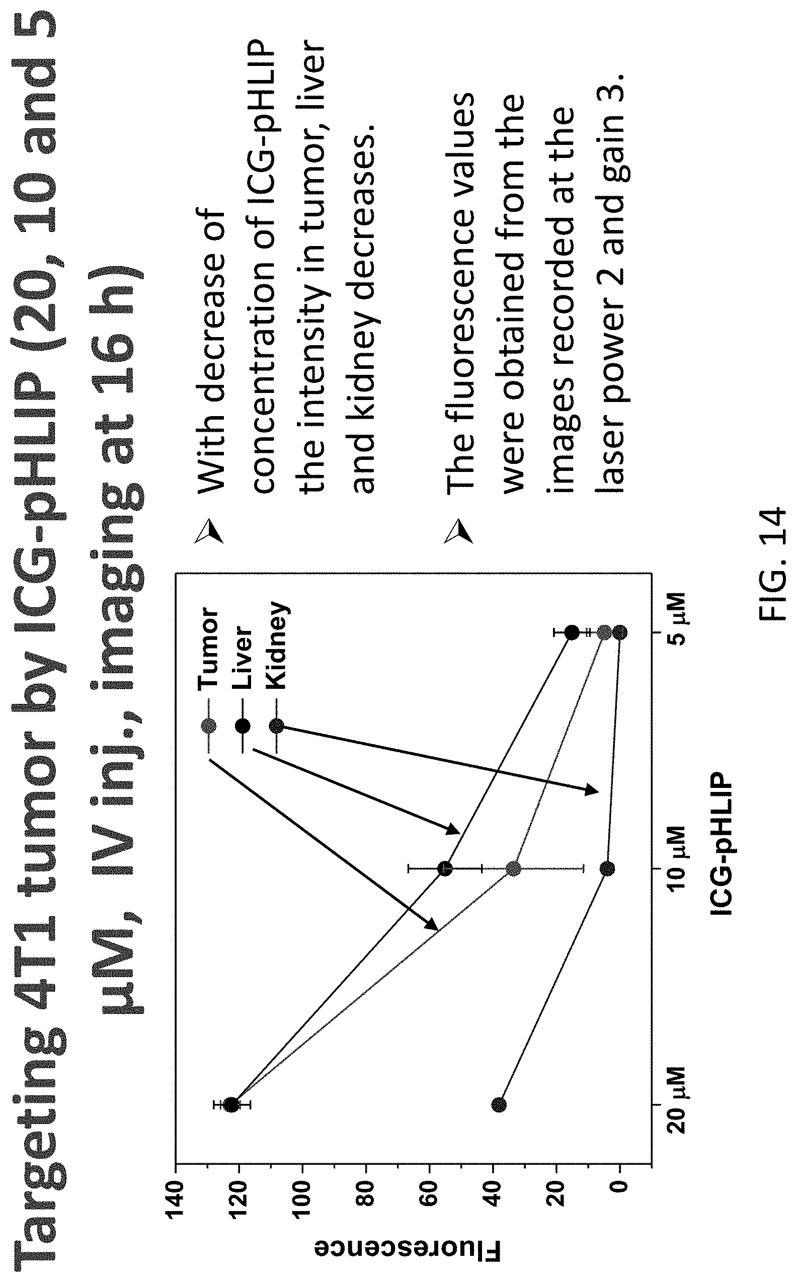Patent US11779662 Figure 14 – Fluorescent compound comprising a fluorophore conjugated to a pH-triggered polypeptide