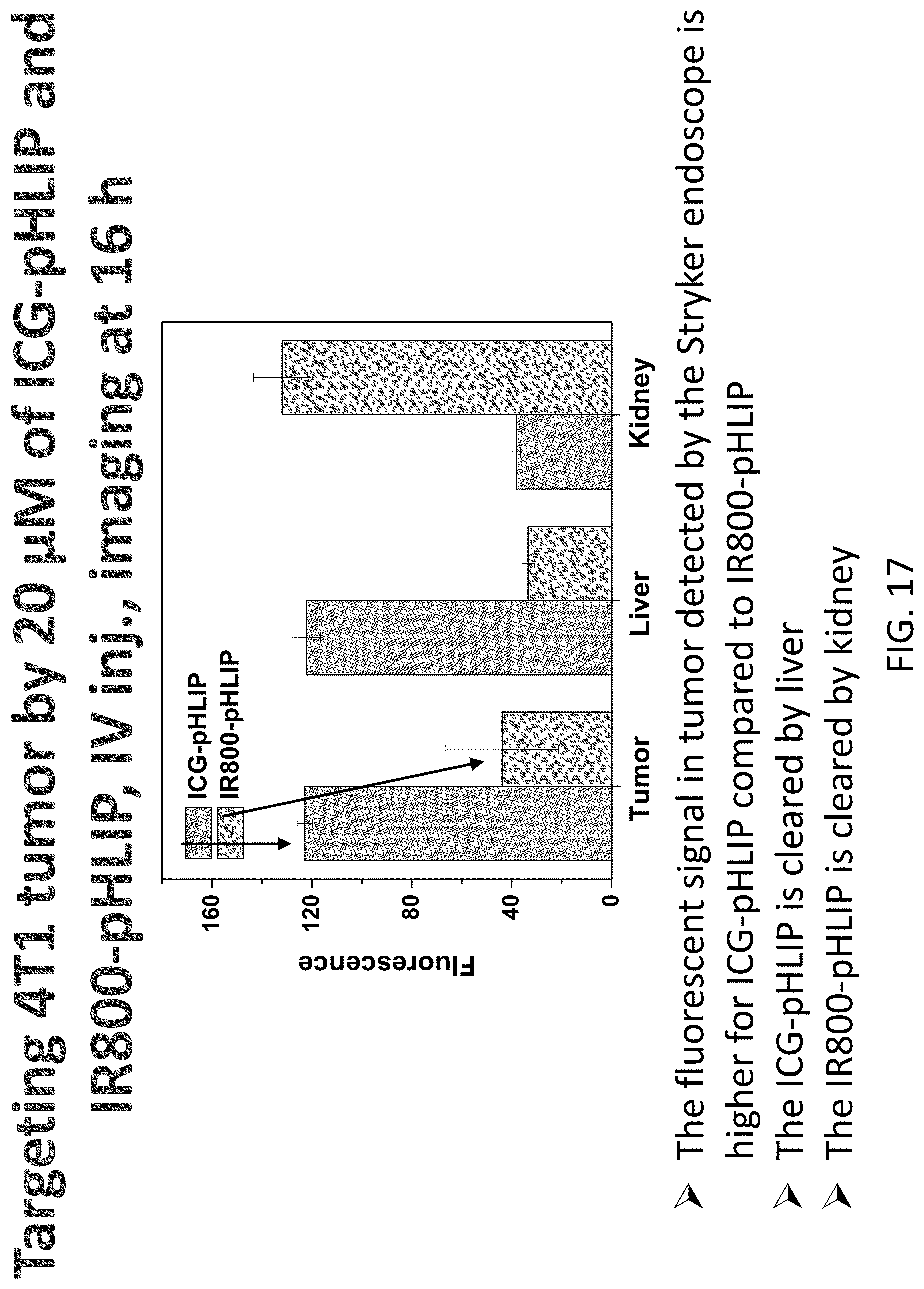 Patent US11779662 Figure 17 – Fluorescent compound comprising a fluorophore conjugated to a pH-triggered polypeptide