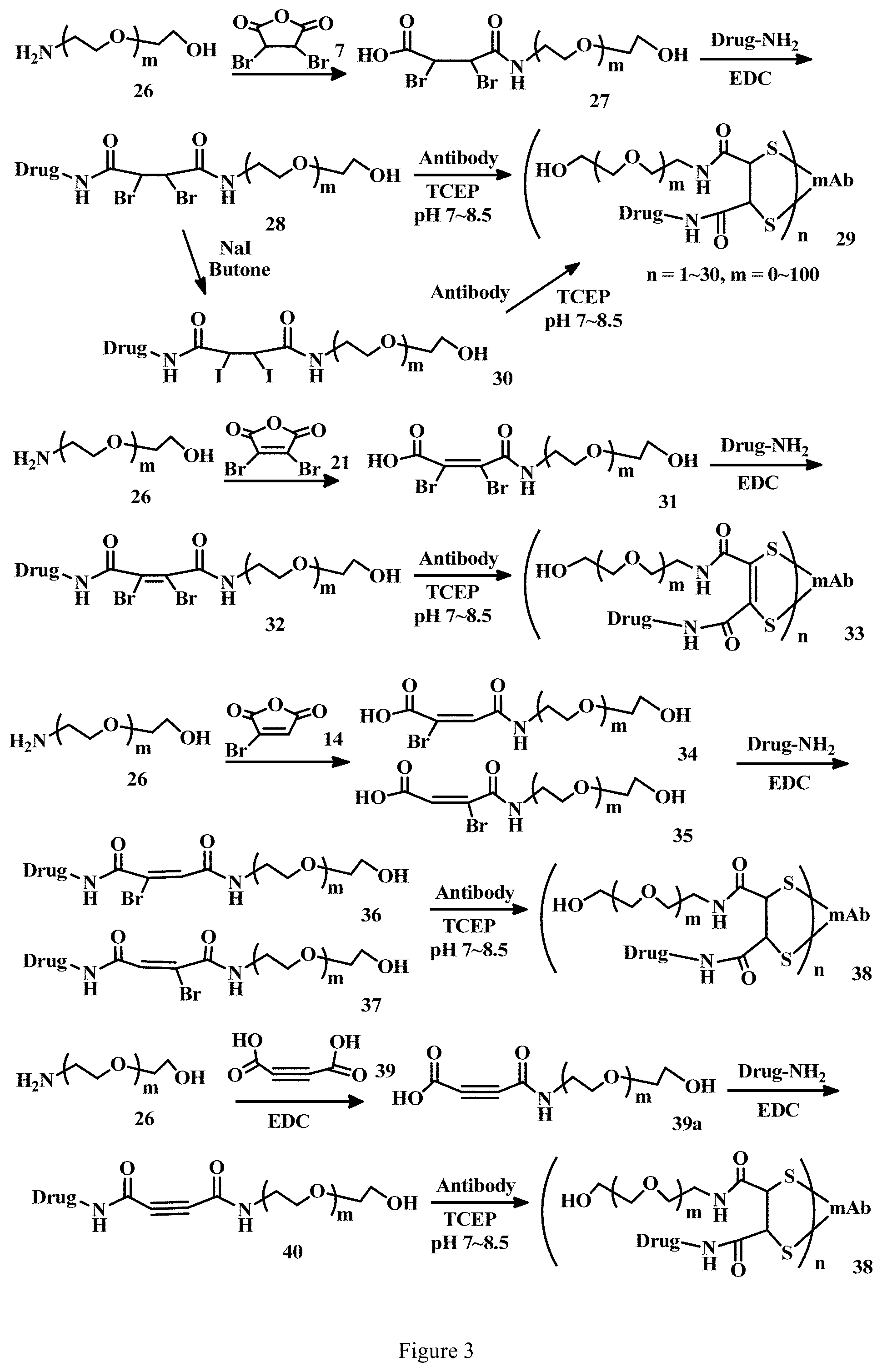 Patent US11779663 Figure 3 – Specific conjugation linkers, specific immunoconjugates thereof, methods of making and uses such conjugates thereof