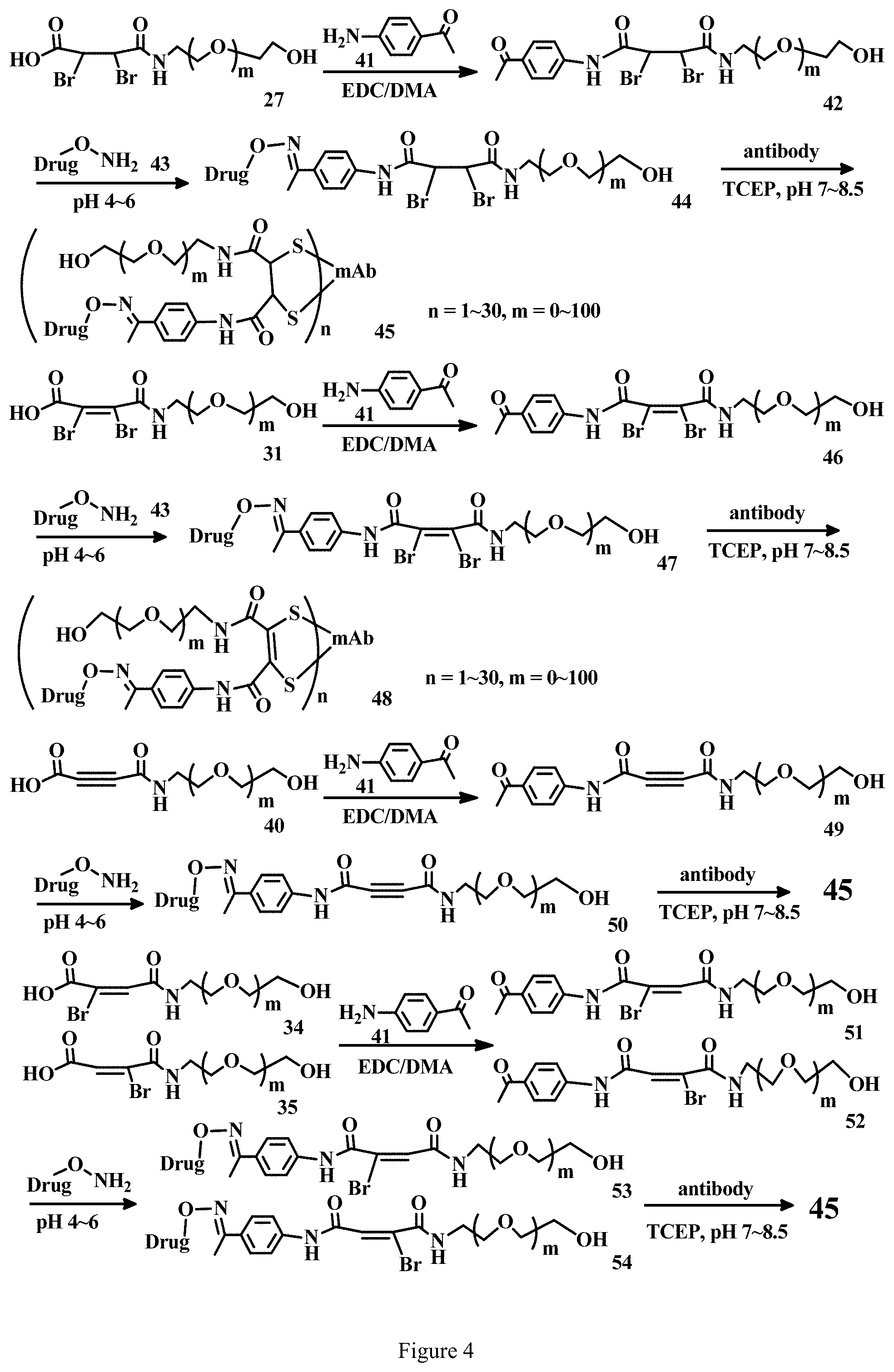 Patent US11779663 Figure 4 – Specific conjugation linkers, specific immunoconjugates thereof, methods of making and uses such conjugates thereof