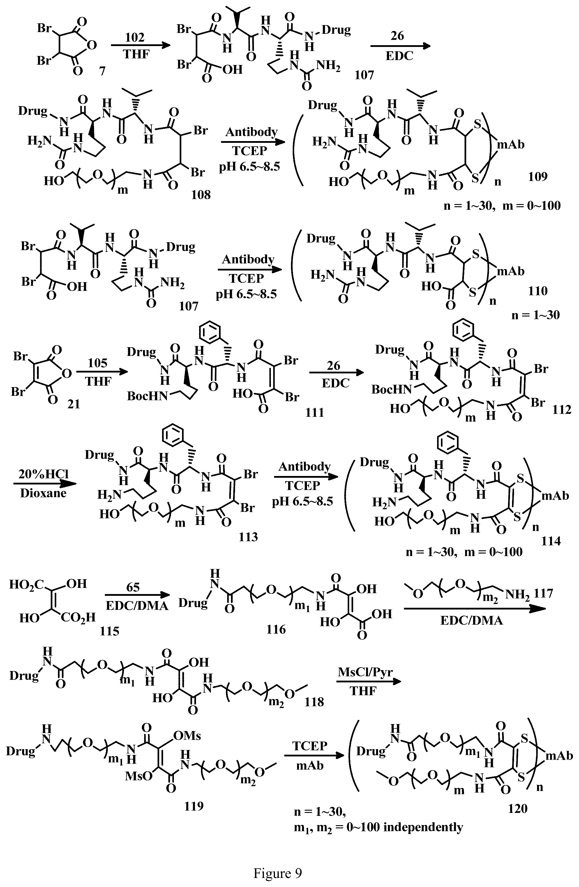 Patent US11779663 Figure 9 – Specific conjugation linkers, specific immunoconjugates thereof, methods of making and uses such conjugates thereof