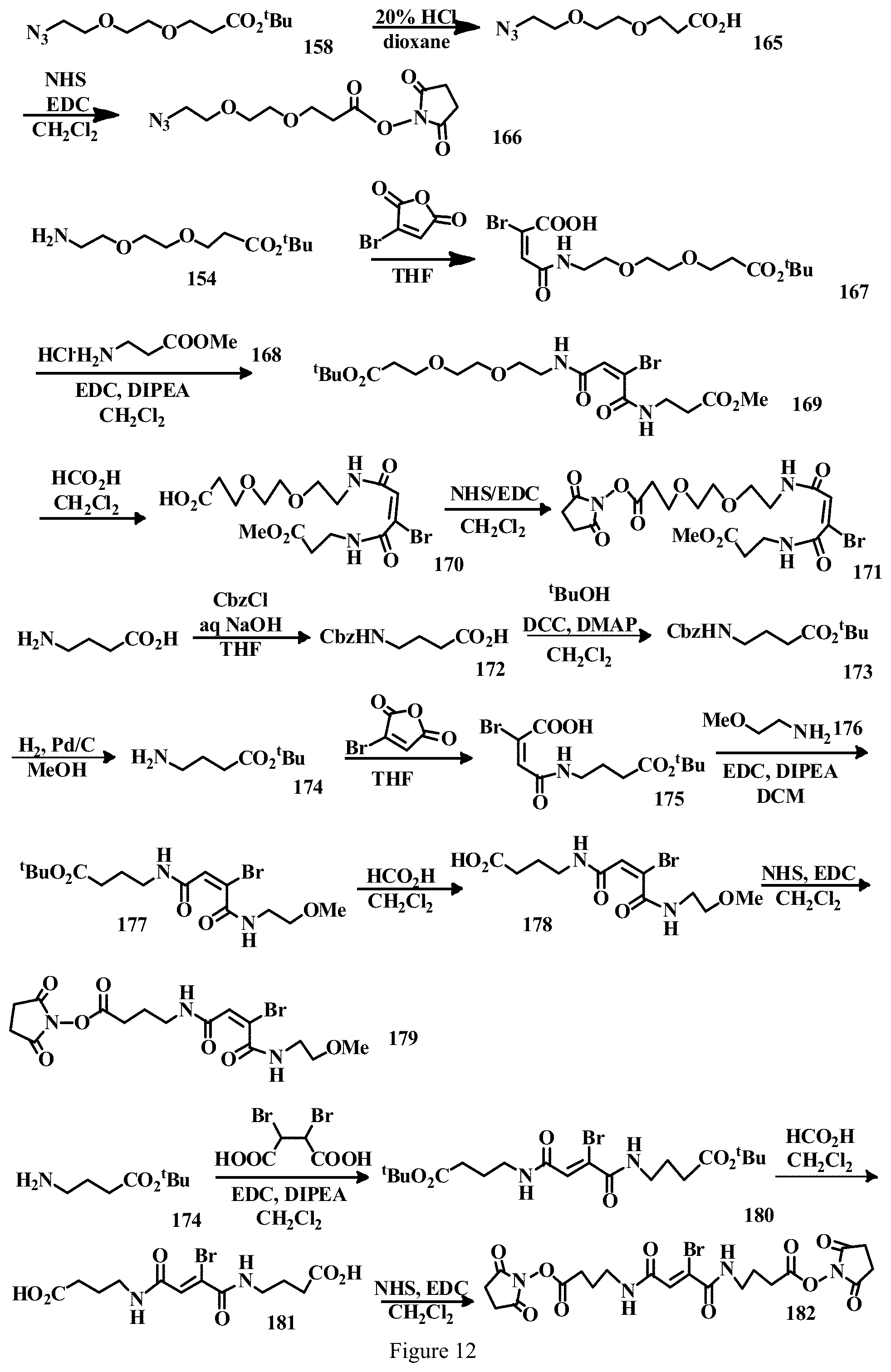 Patent US11779663 Figure 12 – Specific conjugation linkers, specific immunoconjugates thereof, methods of making and uses such conjugates thereof