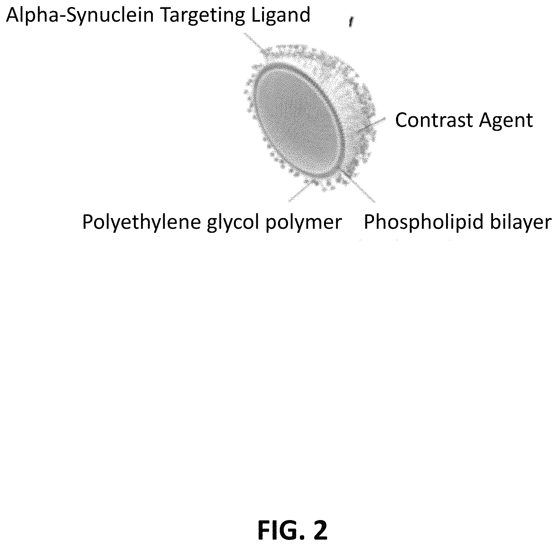 Patent US11779664 Figure 2 – Targeted contrast agents for MRI of alpha-synuclein deposition
