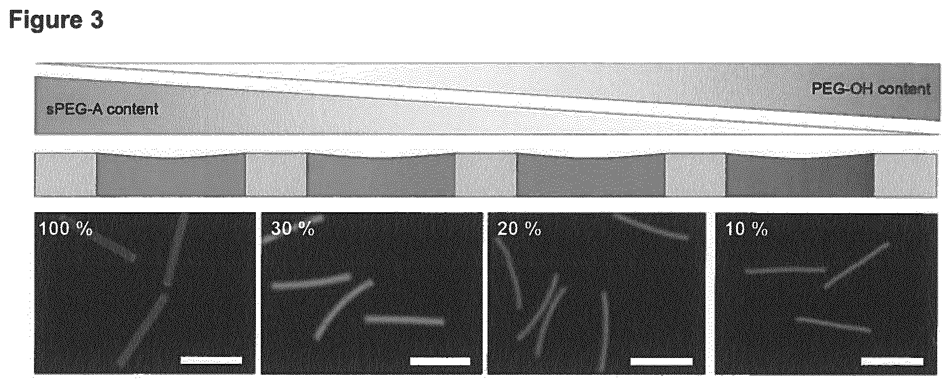 Patent US11779681 Figure 3 – Macroscopically alignable, injectable, soft hydrogel composition