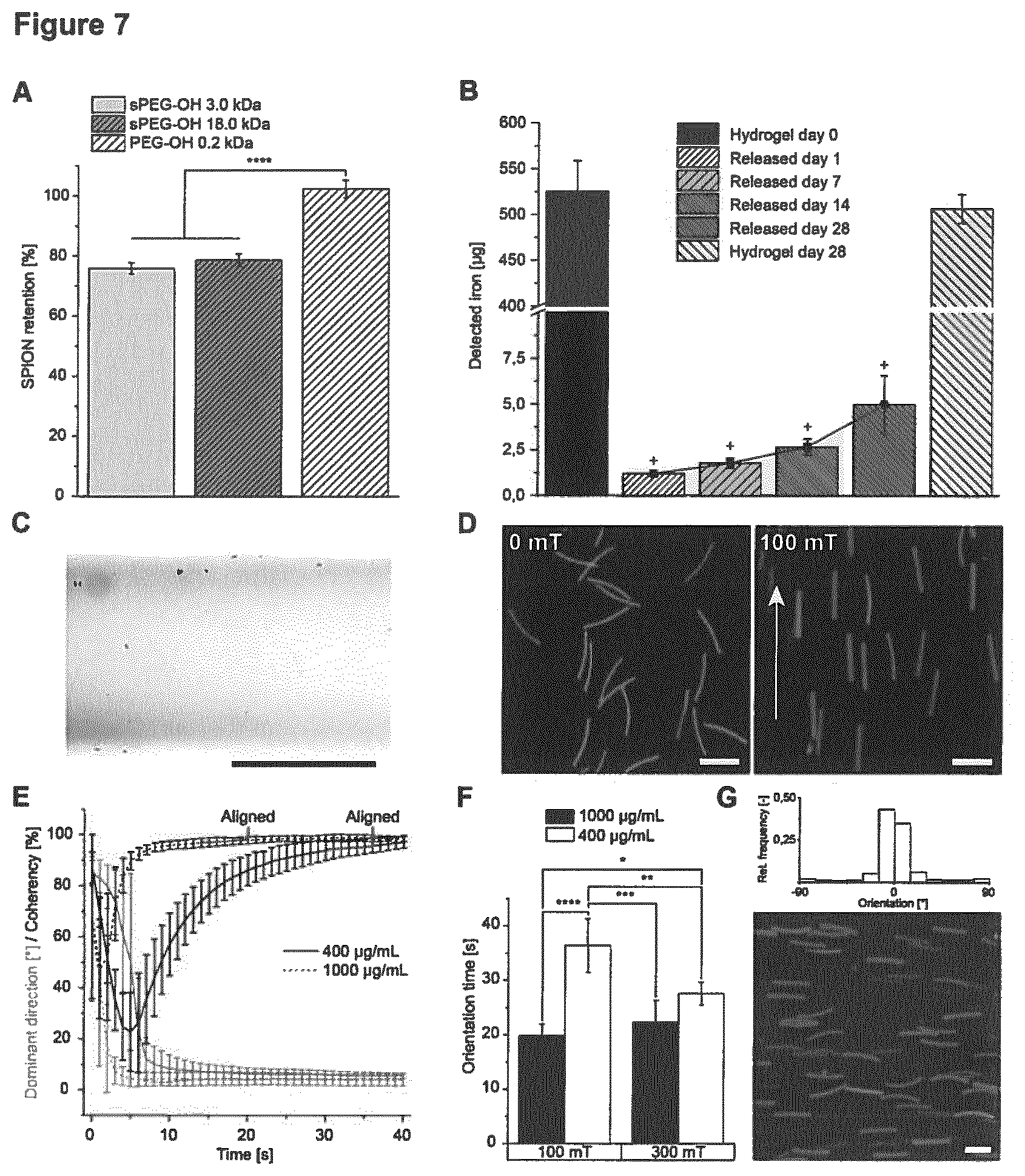 Patent US11779681 Figure 7 – Macroscopically alignable, injectable, soft hydrogel composition